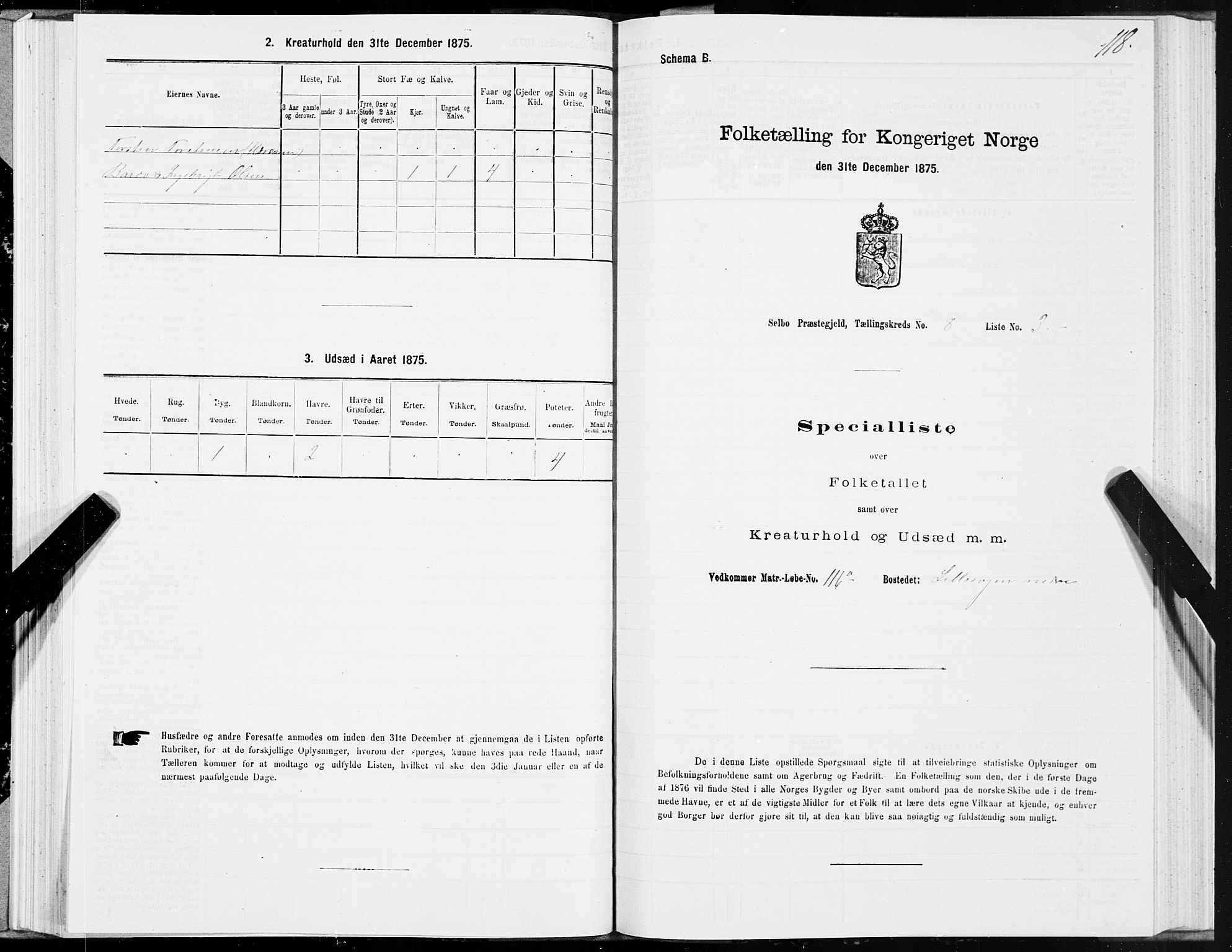 SAT, 1875 census for 1664P Selbu, 1875, p. 4118