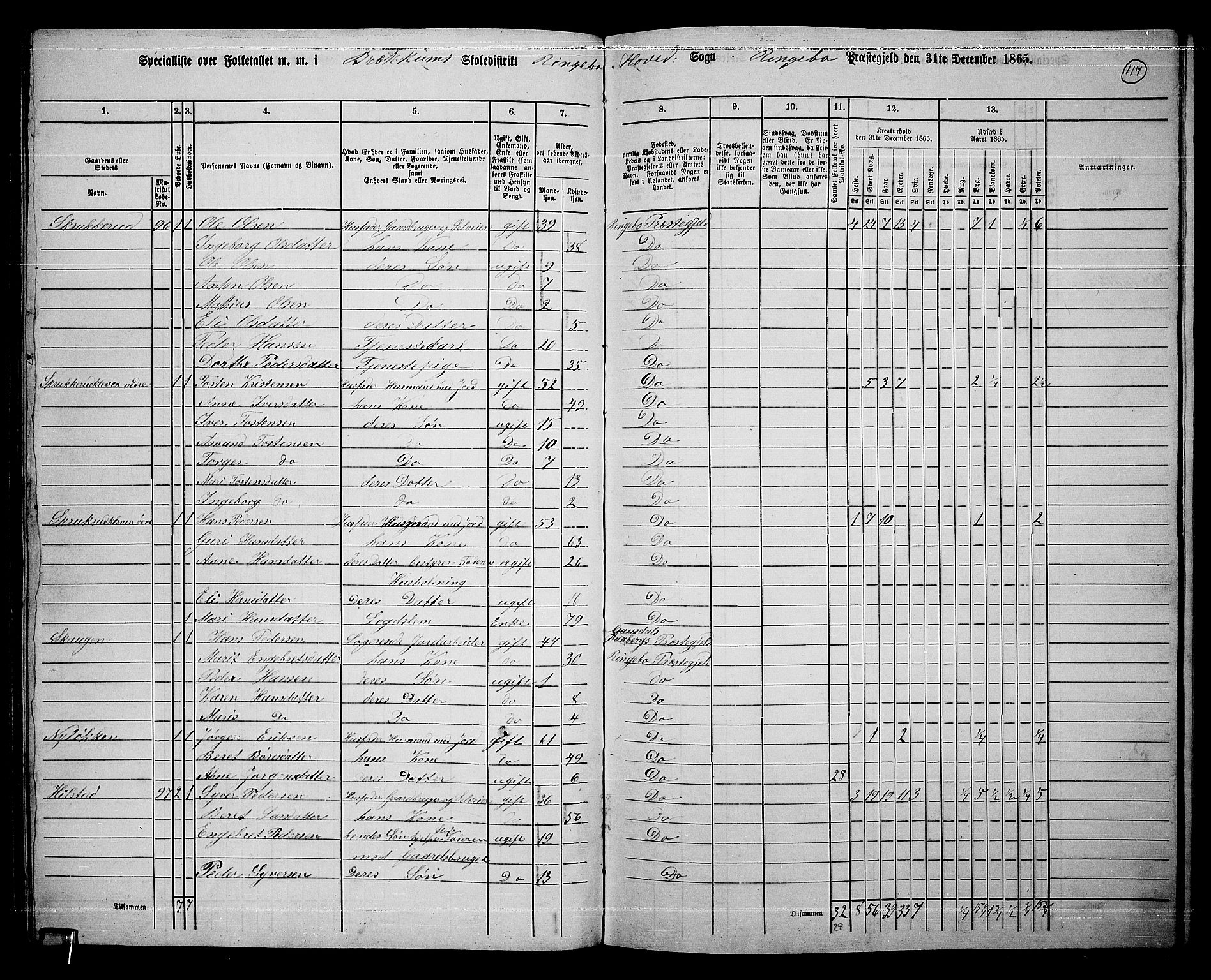 RA, 1865 census for Ringebu, 1865, p. 95