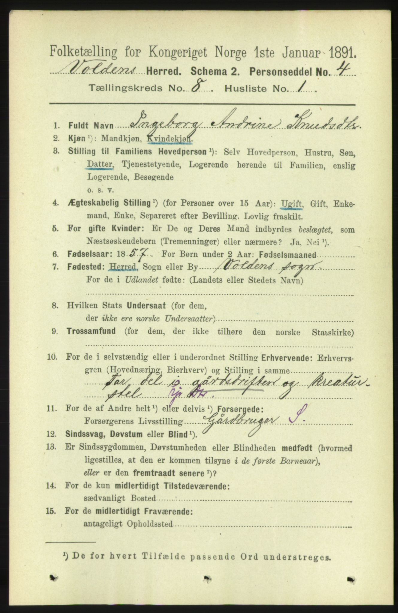 RA, 1891 census for 1519 Volda, 1891, p. 3829