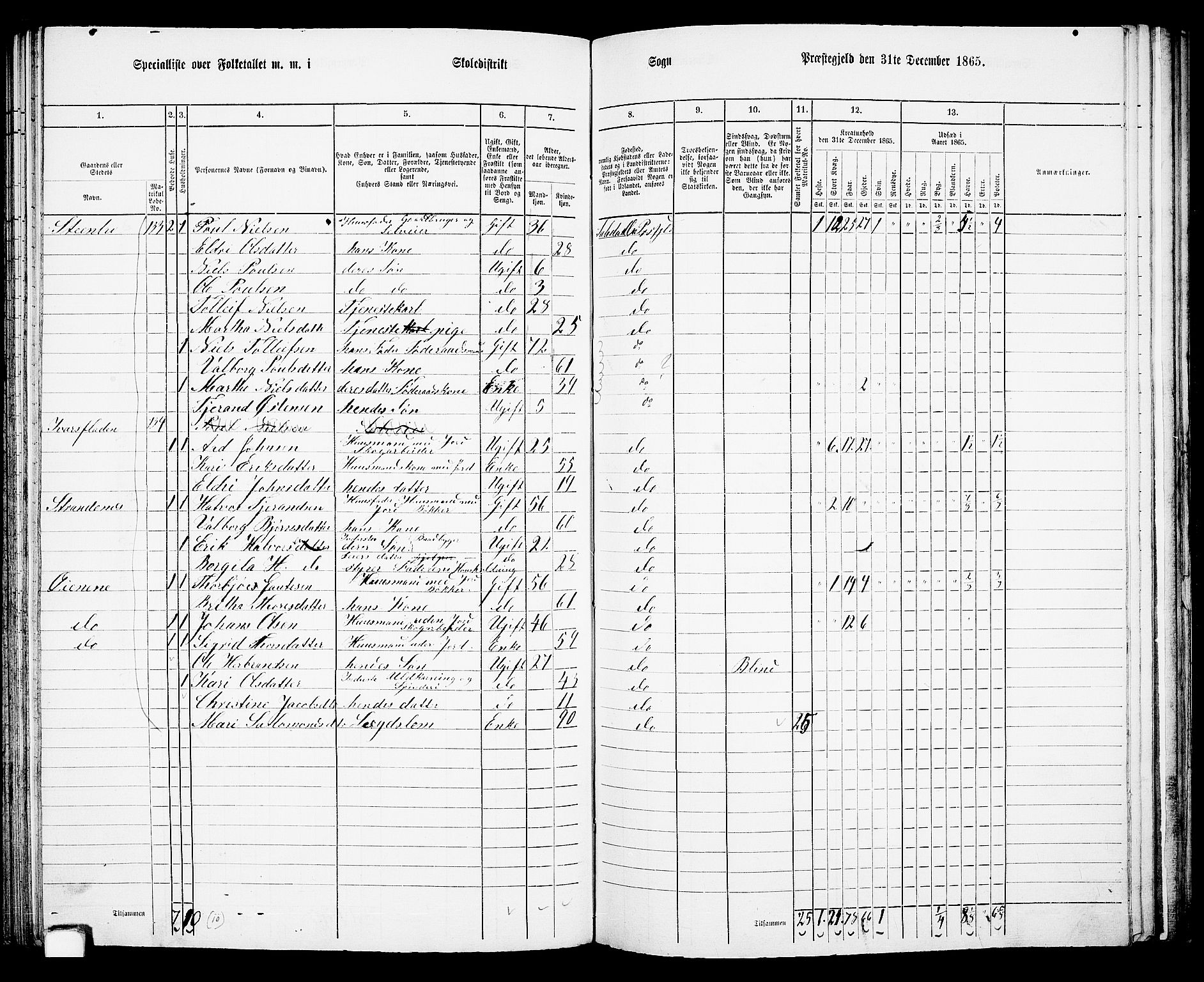 RA, 1865 census for Suldal, 1865, p. 82