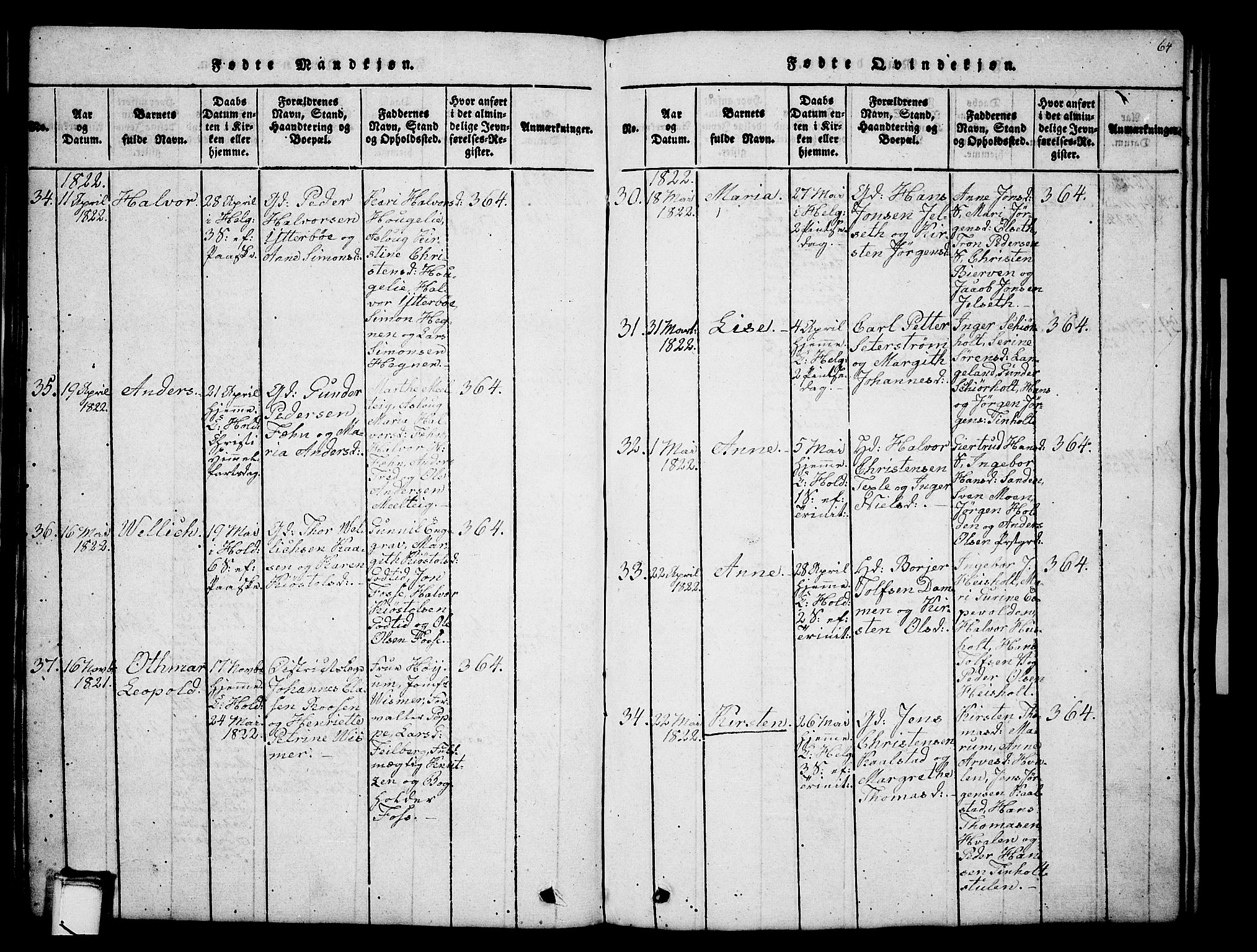 Holla kirkebøker, AV/SAKO-A-272/G/Ga/L0001: Parish register (copy) no. I 1, 1814-1830, p. 64