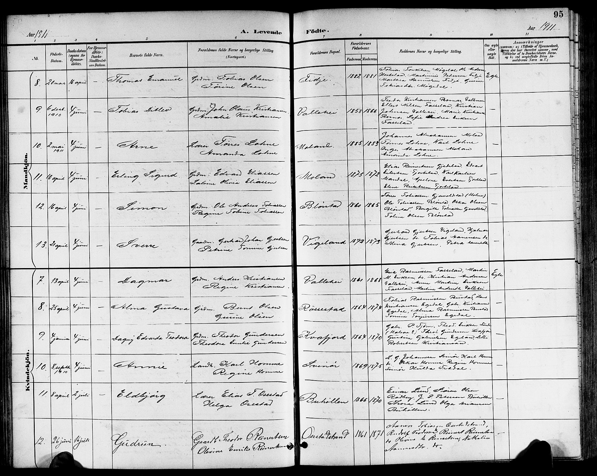 Sør-Audnedal sokneprestkontor, AV/SAK-1111-0039/F/Fb/Fbb/L0006: Parish register (copy) no. B 6, 1893-1915, p. 95