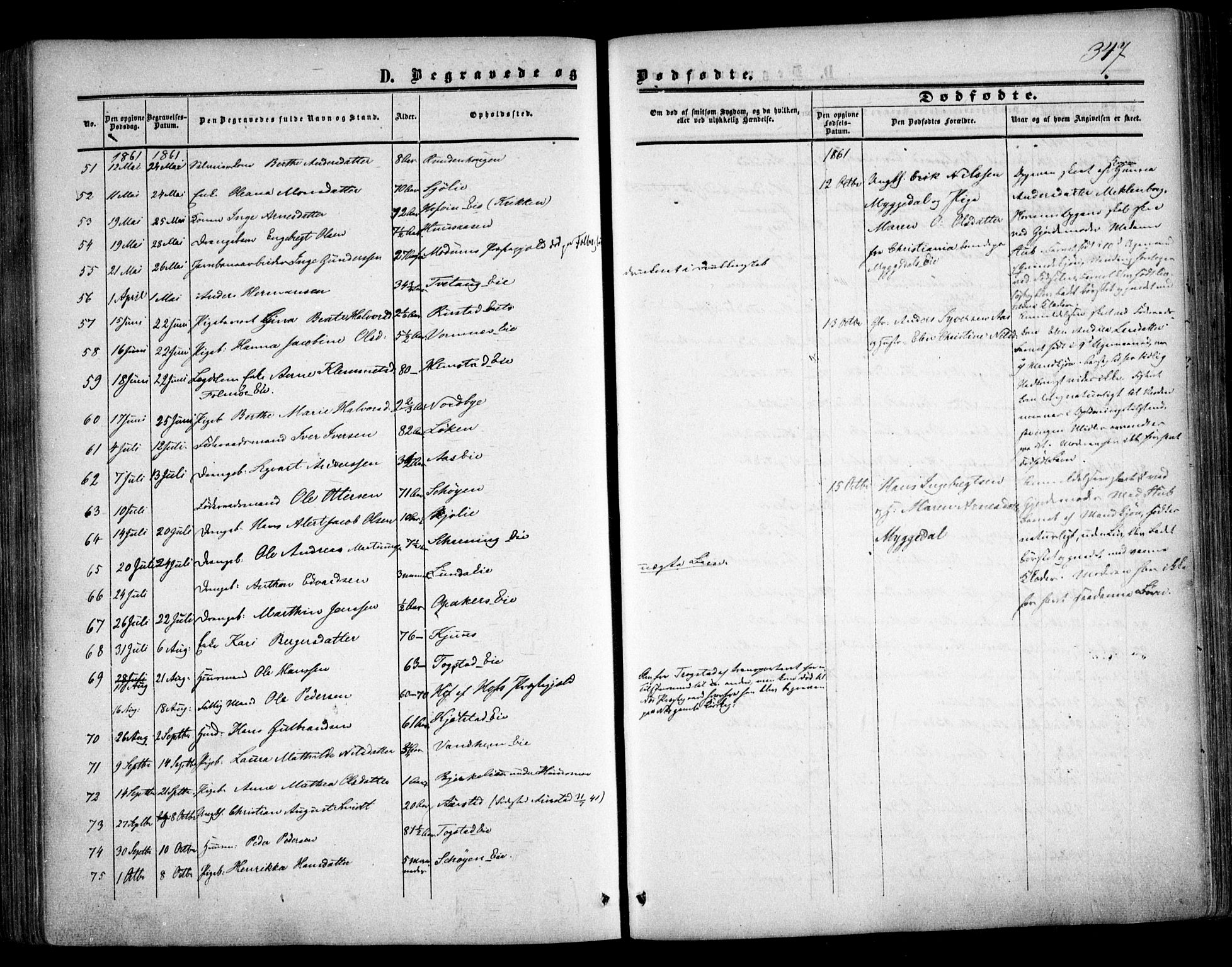 Nes prestekontor Kirkebøker, AV/SAO-A-10410/F/Fa/L0008: Parish register (official) no. I 8, 1859-1874, p. 347