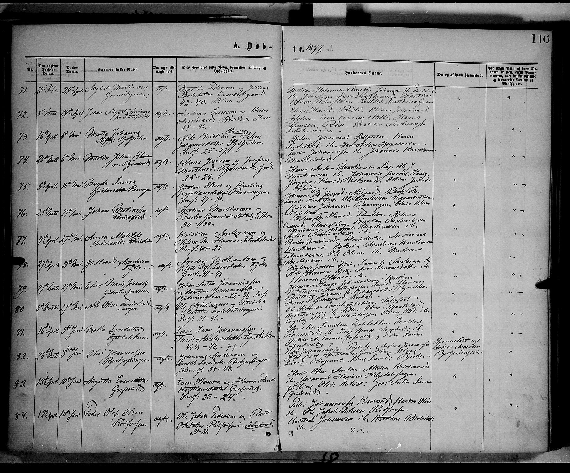 Vestre Toten prestekontor, AV/SAH-PREST-108/H/Ha/Haa/L0008: Parish register (official) no. 8, 1870-1877, p. 116