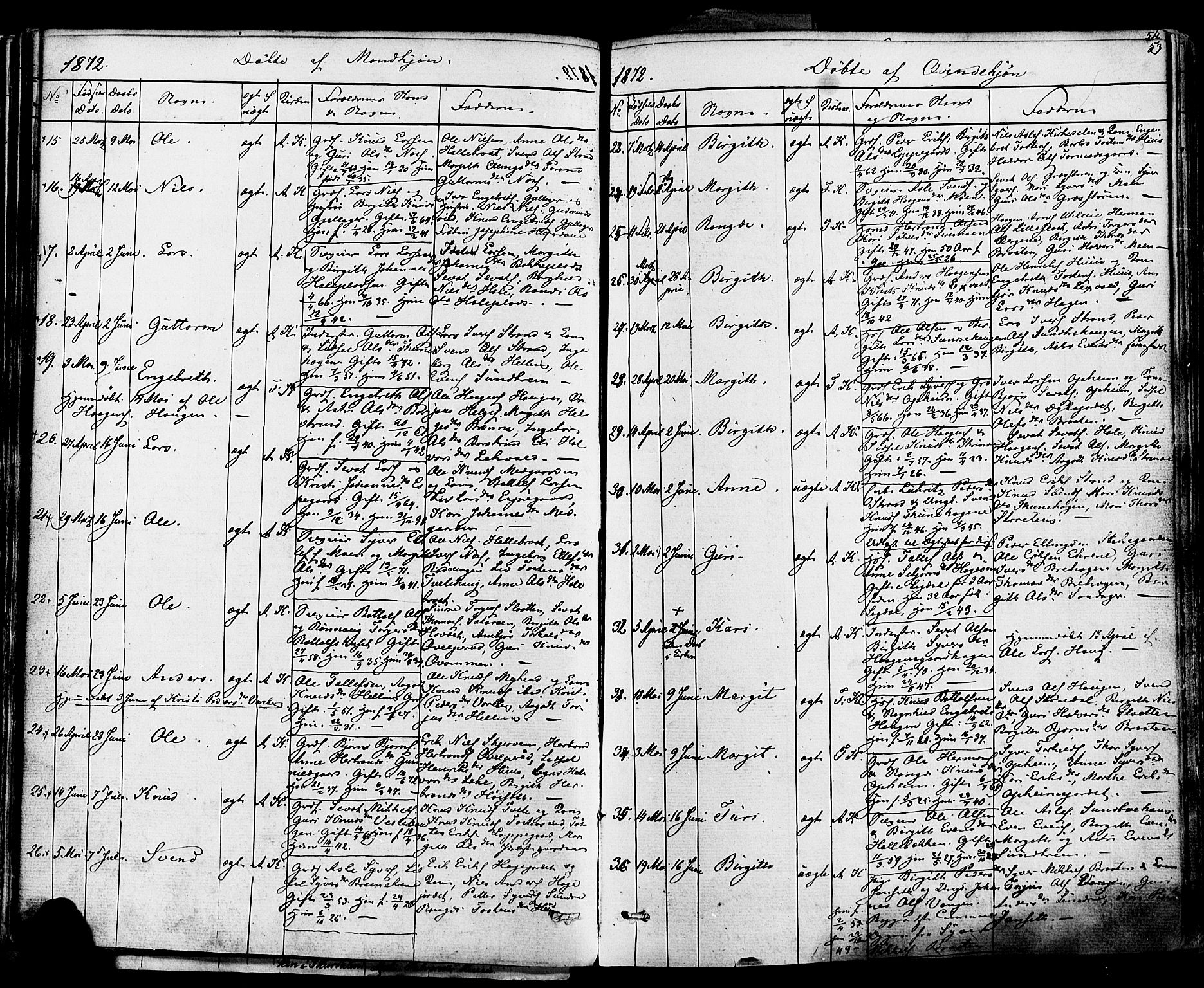 Ål kirkebøker, AV/SAKO-A-249/F/Fa/L0007: Parish register (official) no. I 7, 1865-1881, p. 53