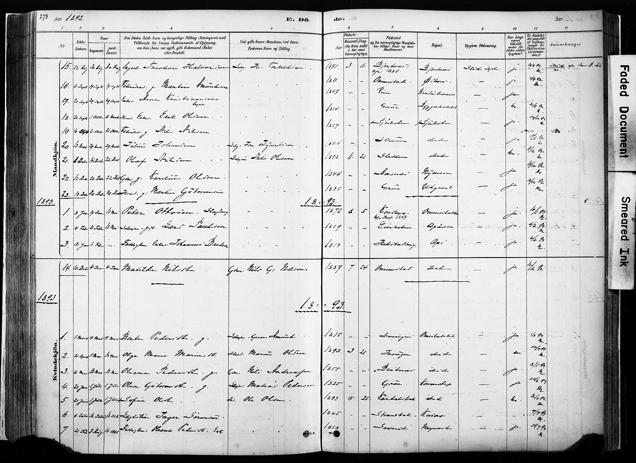 Hof prestekontor, SAH/PREST-038/H/Ha/Haa/L0010: Parish register (official) no. 10, 1878-1909, p. 273