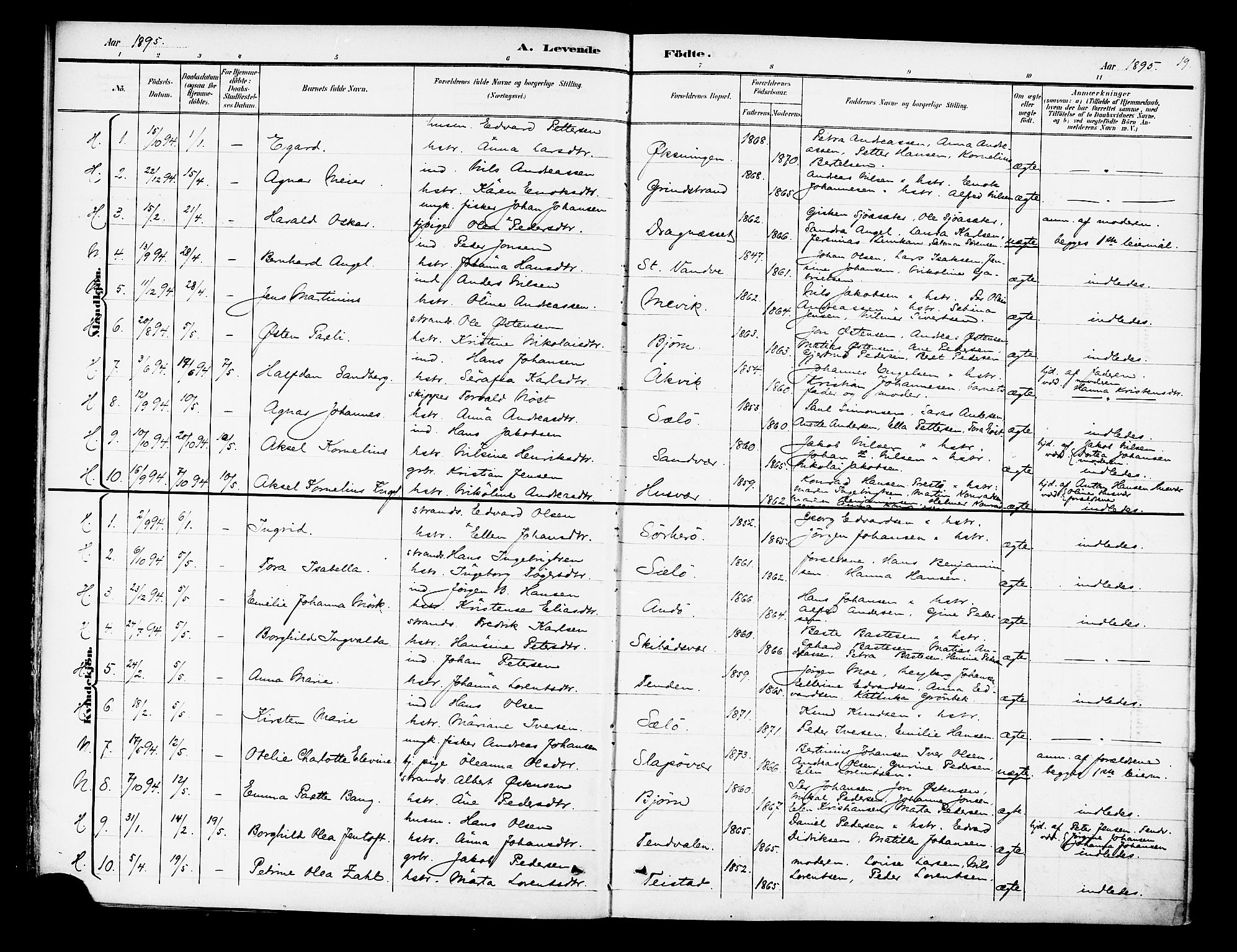 Ministerialprotokoller, klokkerbøker og fødselsregistre - Nordland, SAT/A-1459/834/L0508: Parish register (official) no. 834A06, 1892-1901, p. 19