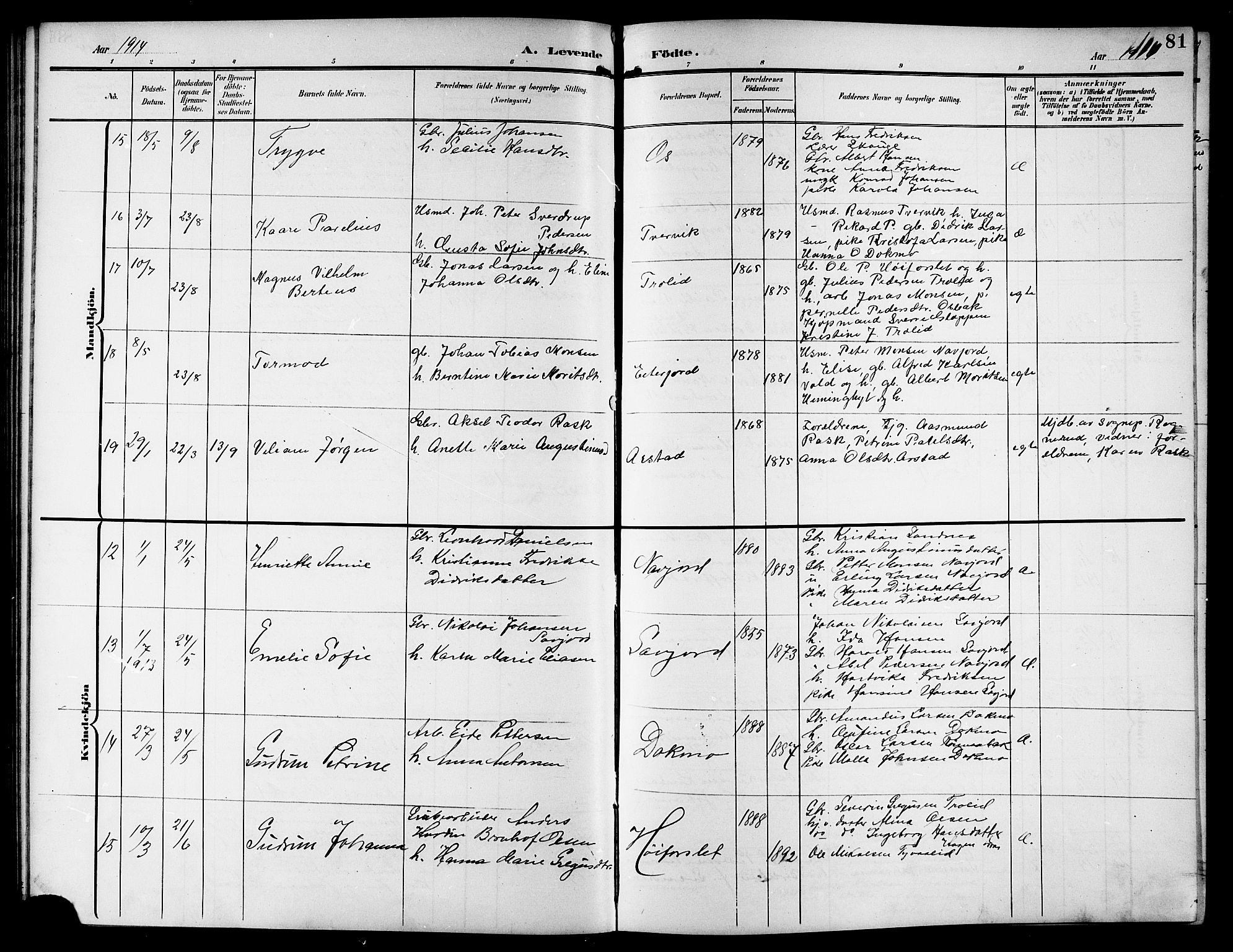 Ministerialprotokoller, klokkerbøker og fødselsregistre - Nordland, AV/SAT-A-1459/846/L0655: Parish register (copy) no. 846C05, 1902-1916, p. 81