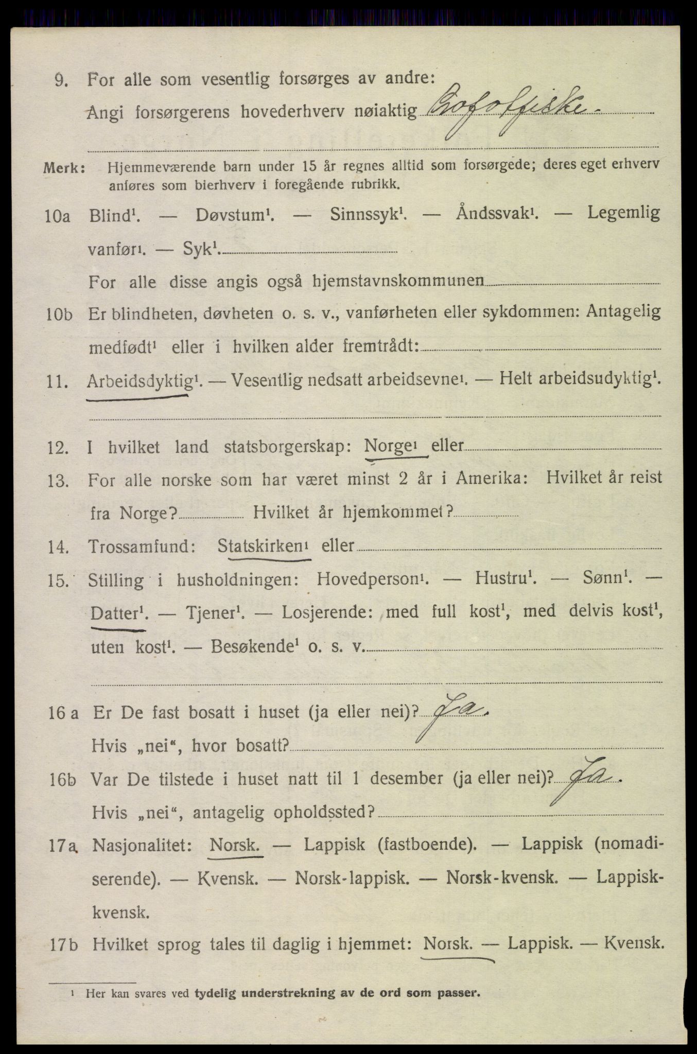 SAT, 1920 census for Borge, 1920, p. 8032