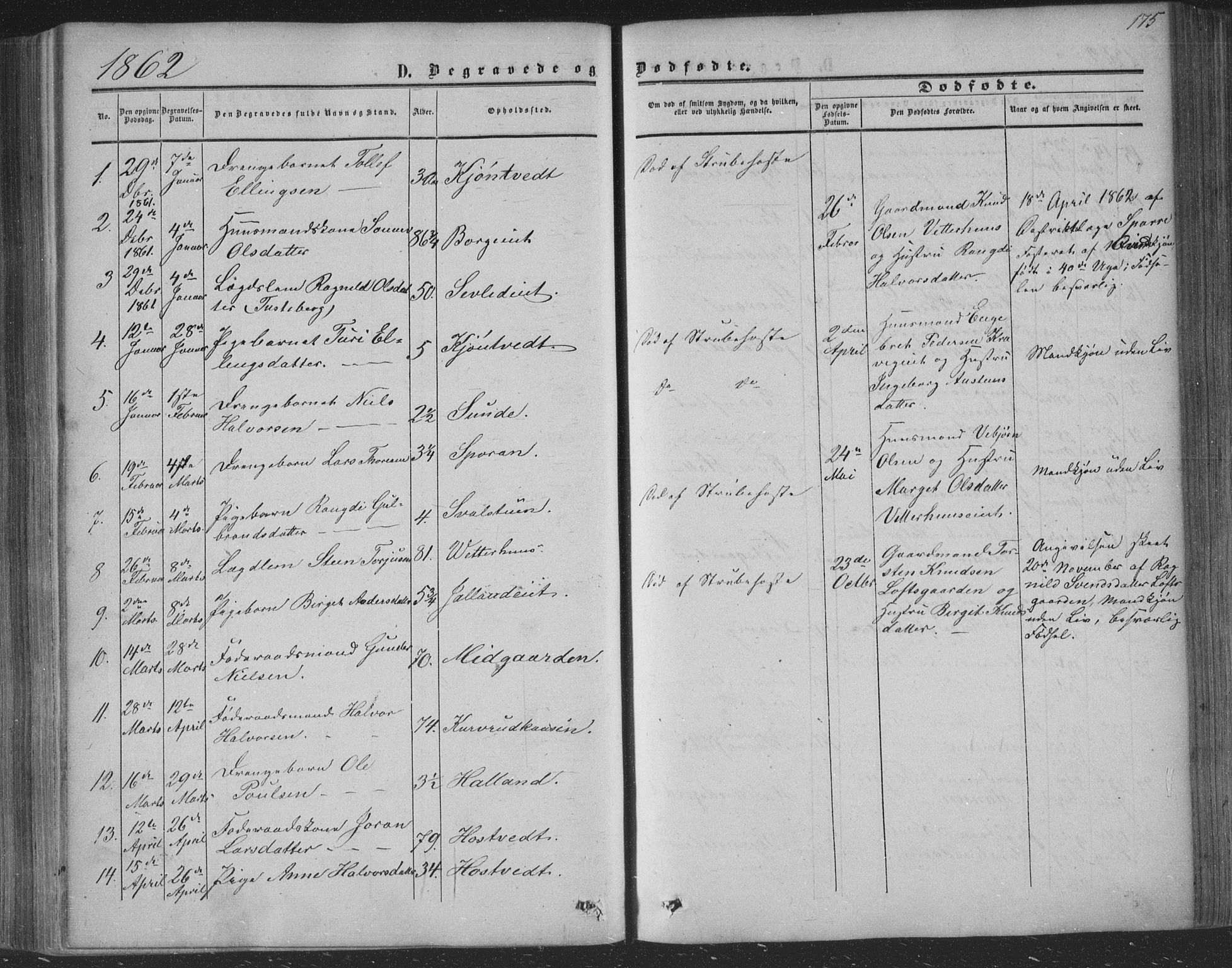 Nore kirkebøker, SAKO/A-238/F/Fa/L0002: Parish register (official) no. I 2, 1856-1871, p. 175