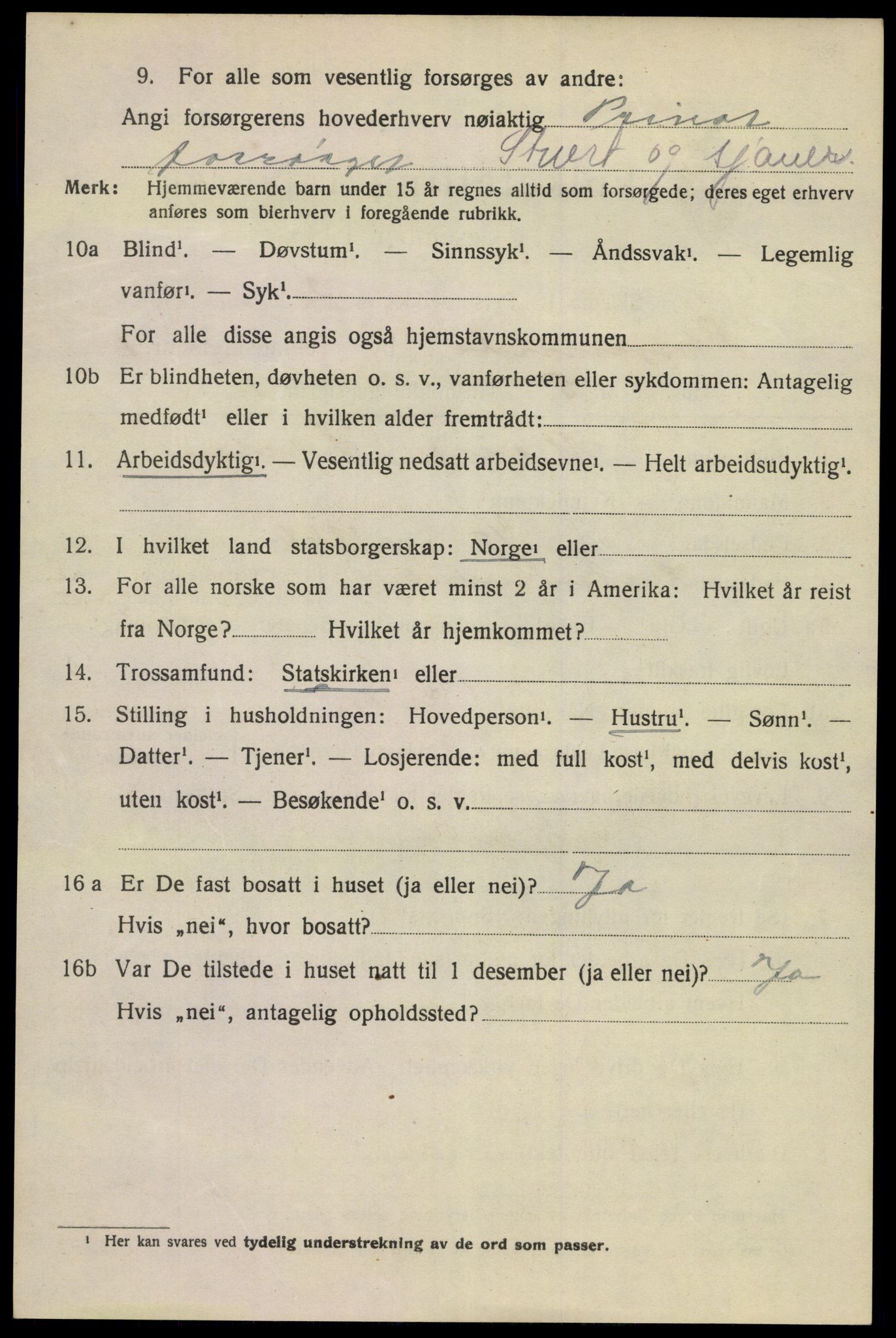SAKO, 1920 census for Porsgrunn, 1920, p. 7156