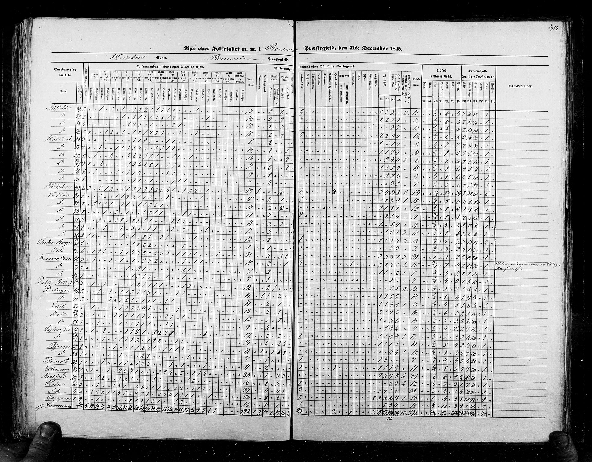 RA, Census 1845, vol. 6: Lister og Mandal amt og Stavanger amt, 1845, p. 313