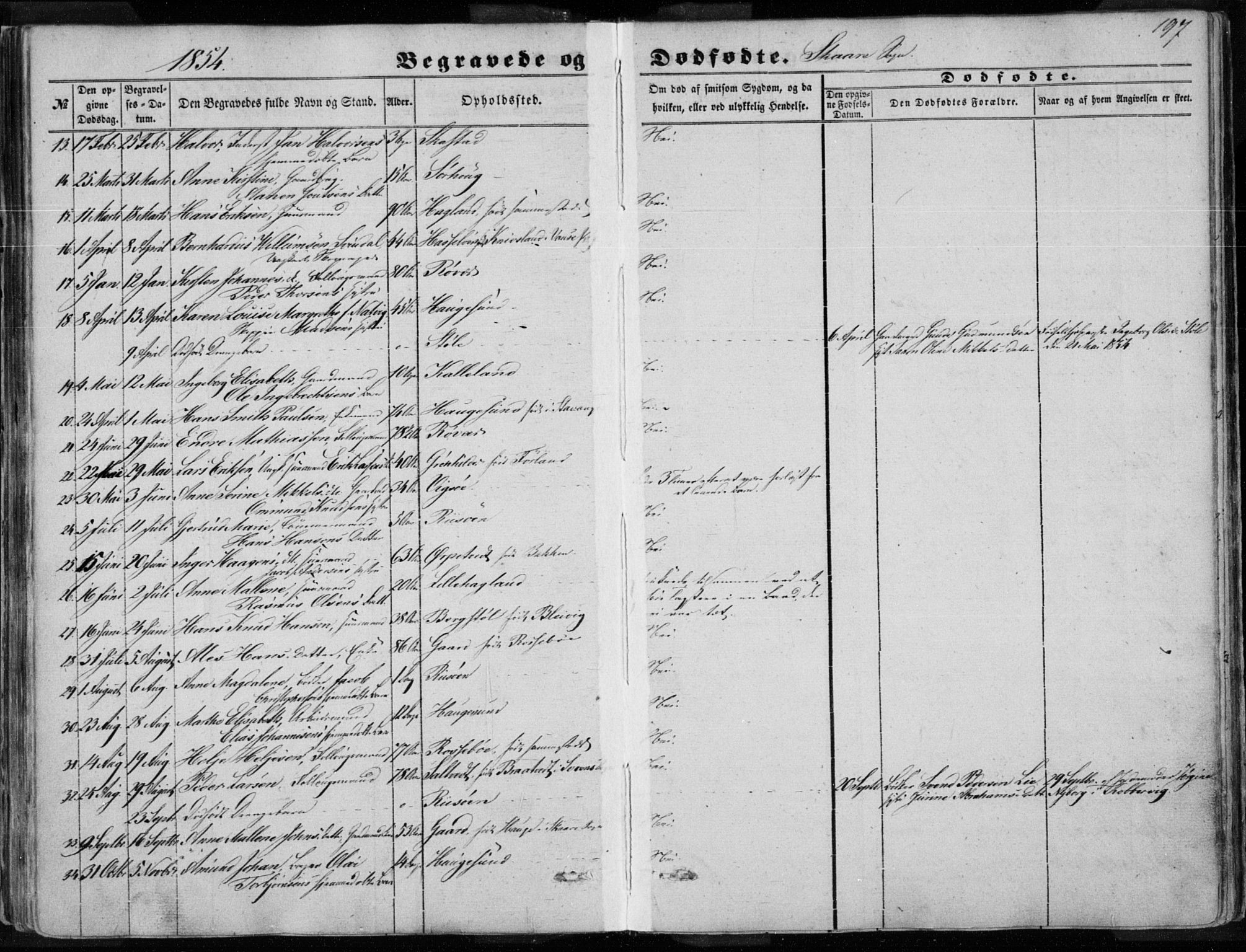 Torvastad sokneprestkontor, AV/SAST-A -101857/H/Ha/Haa/L0009: Parish register (official) no. A 9, 1847-1856, p. 197