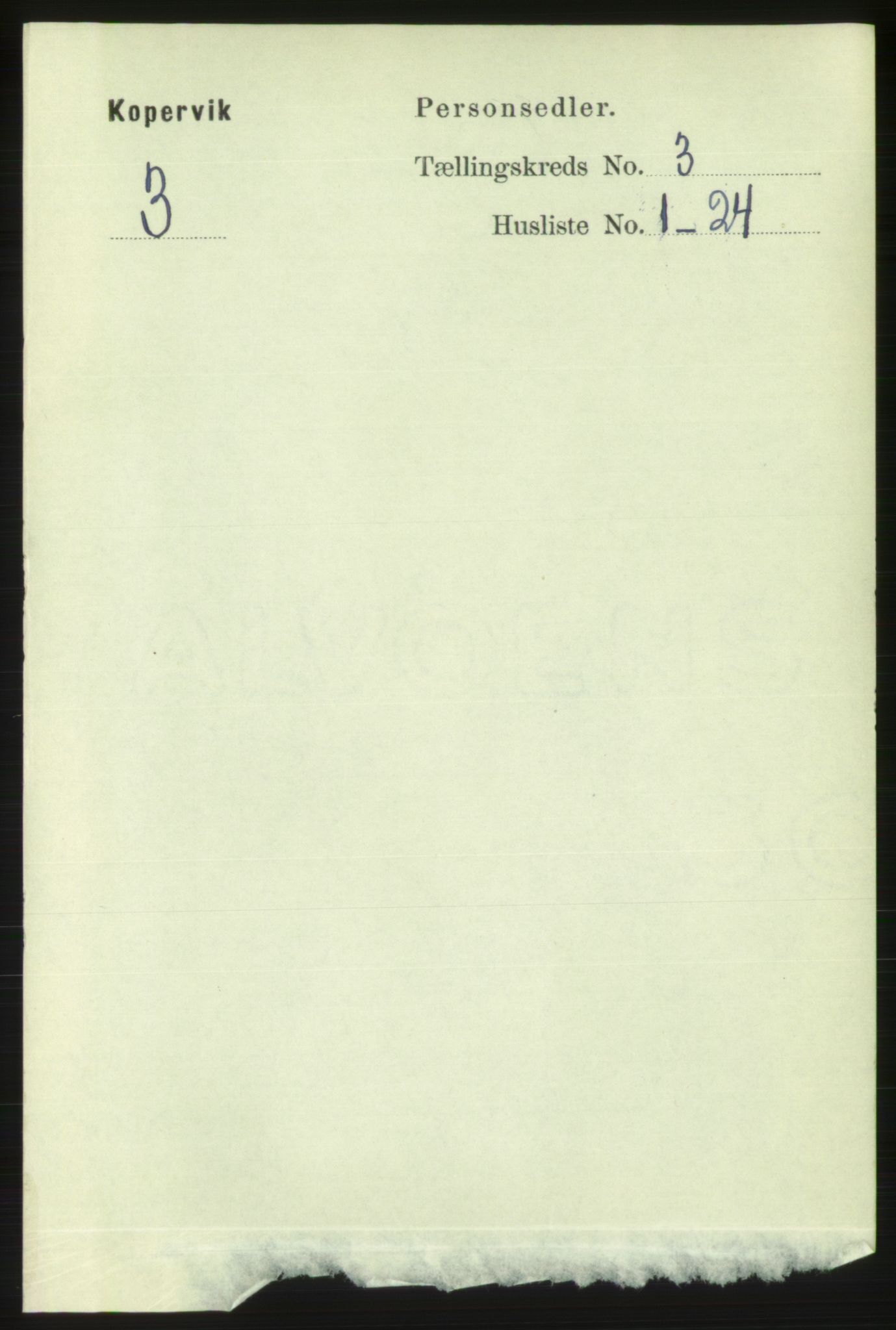 RA, 1891 census for 1105 Kopervik, 1891, p. 242
