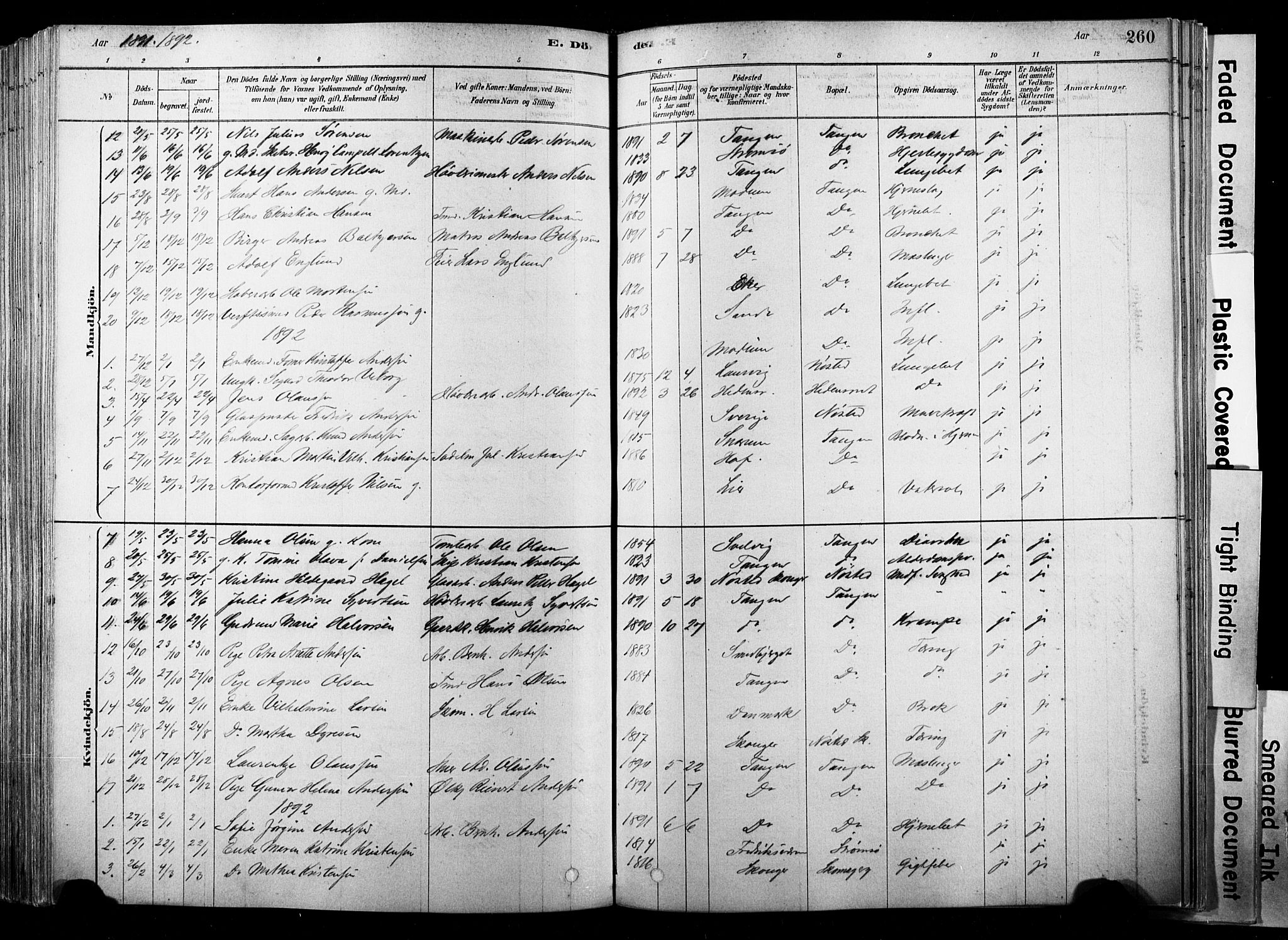 Strømsø kirkebøker, SAKO/A-246/F/Fb/L0006: Parish register (official) no. II 6, 1879-1910, p. 260