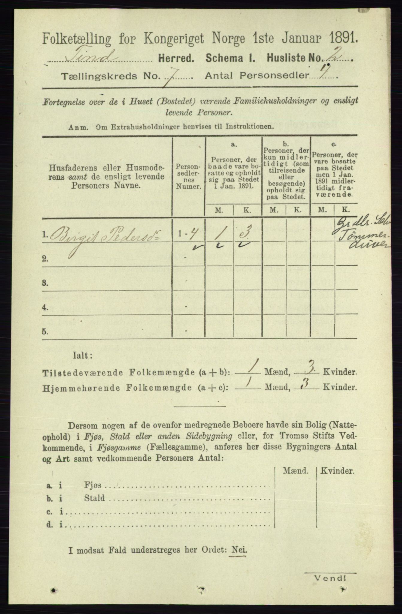 RA, 1891 census for 0826 Tinn, 1891, p. 1396