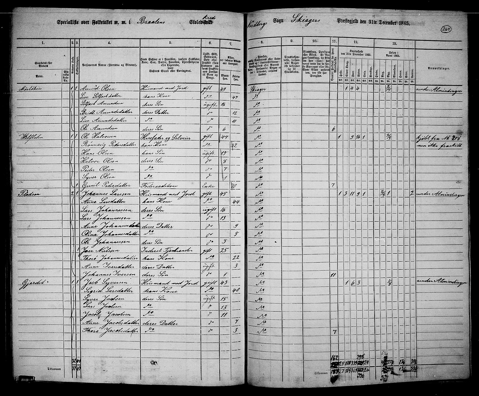 RA, 1865 census for Skjåk, 1865, p. 104