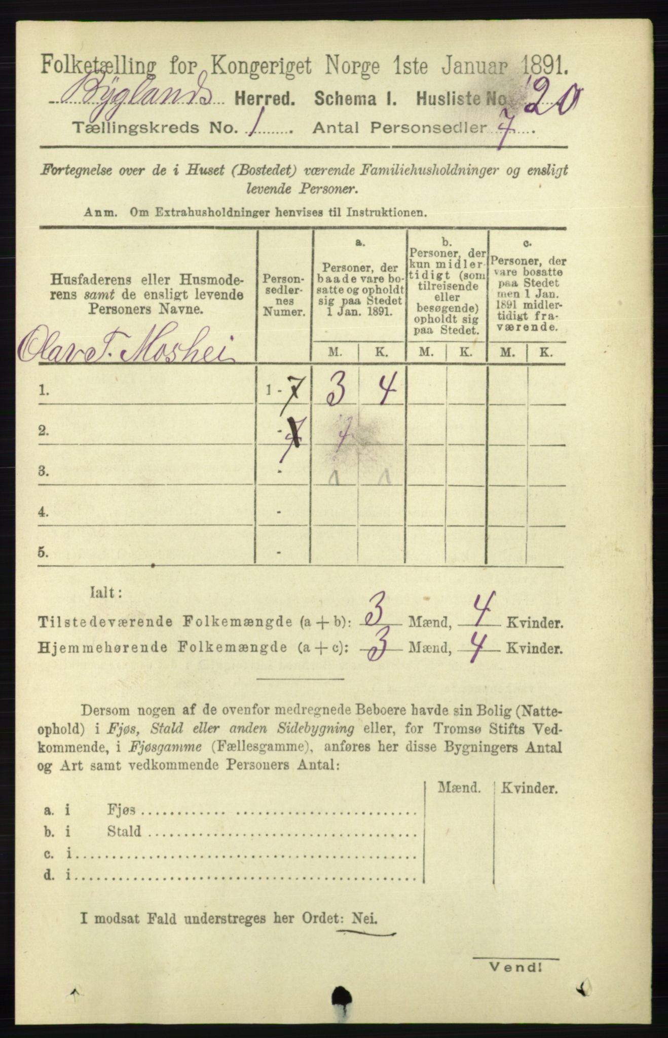 RA, 1891 census for 0938 Bygland, 1891, p. 47