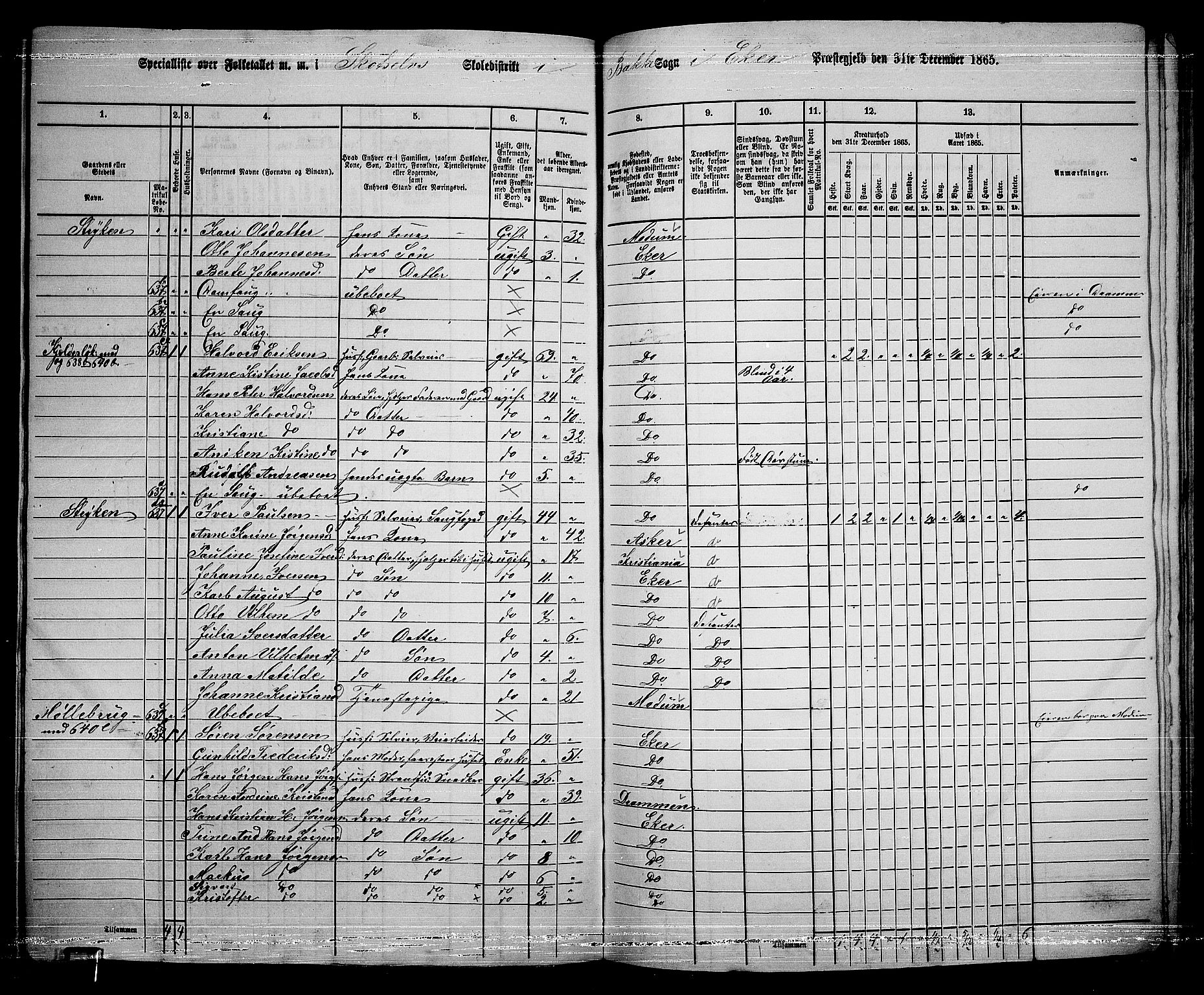 RA, 1865 census for Eiker, 1865, p. 483