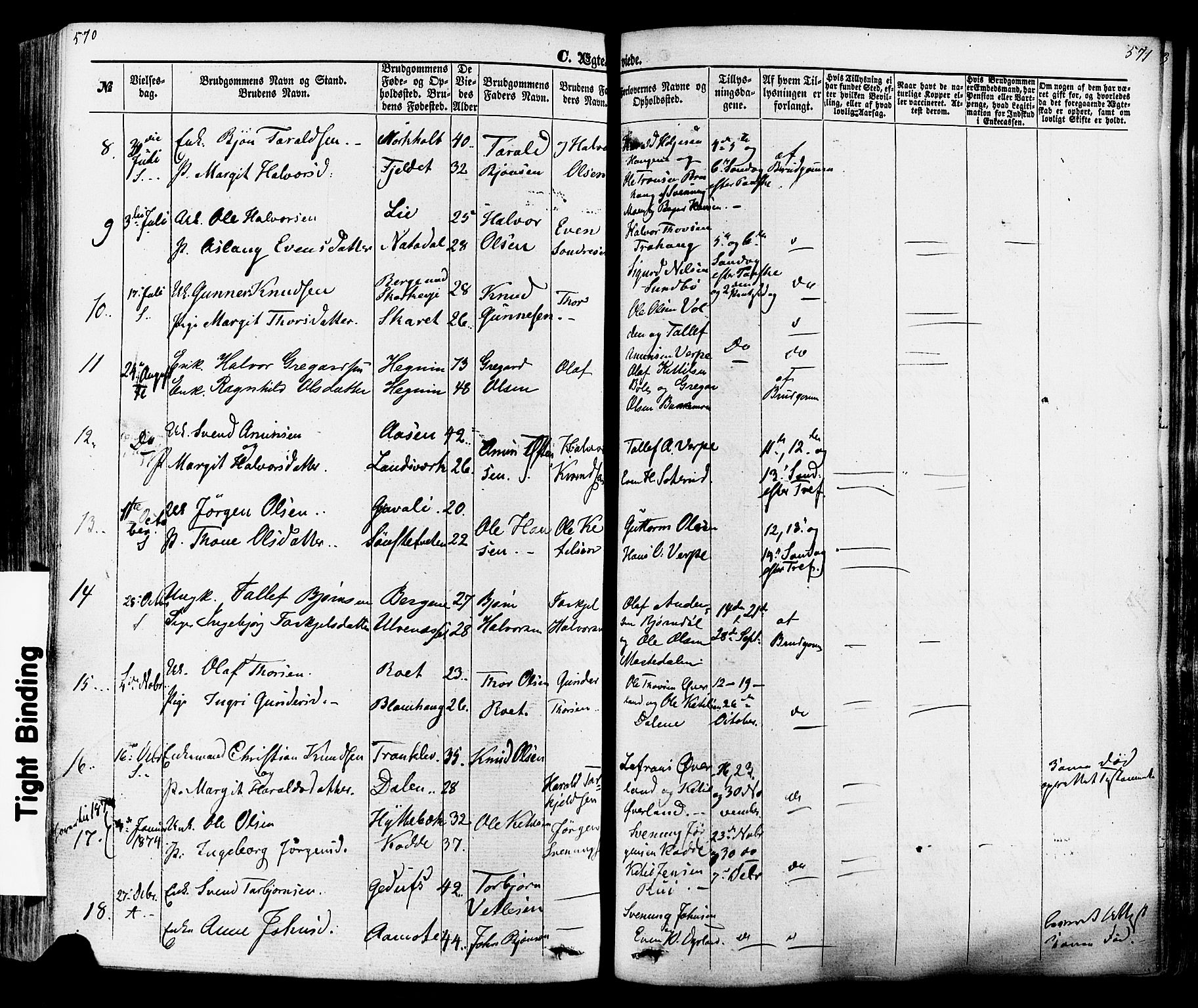 Seljord kirkebøker, SAKO/A-20/F/Fa/L0013: Parish register (official) no. I 13, 1866-1876, p. 570-571