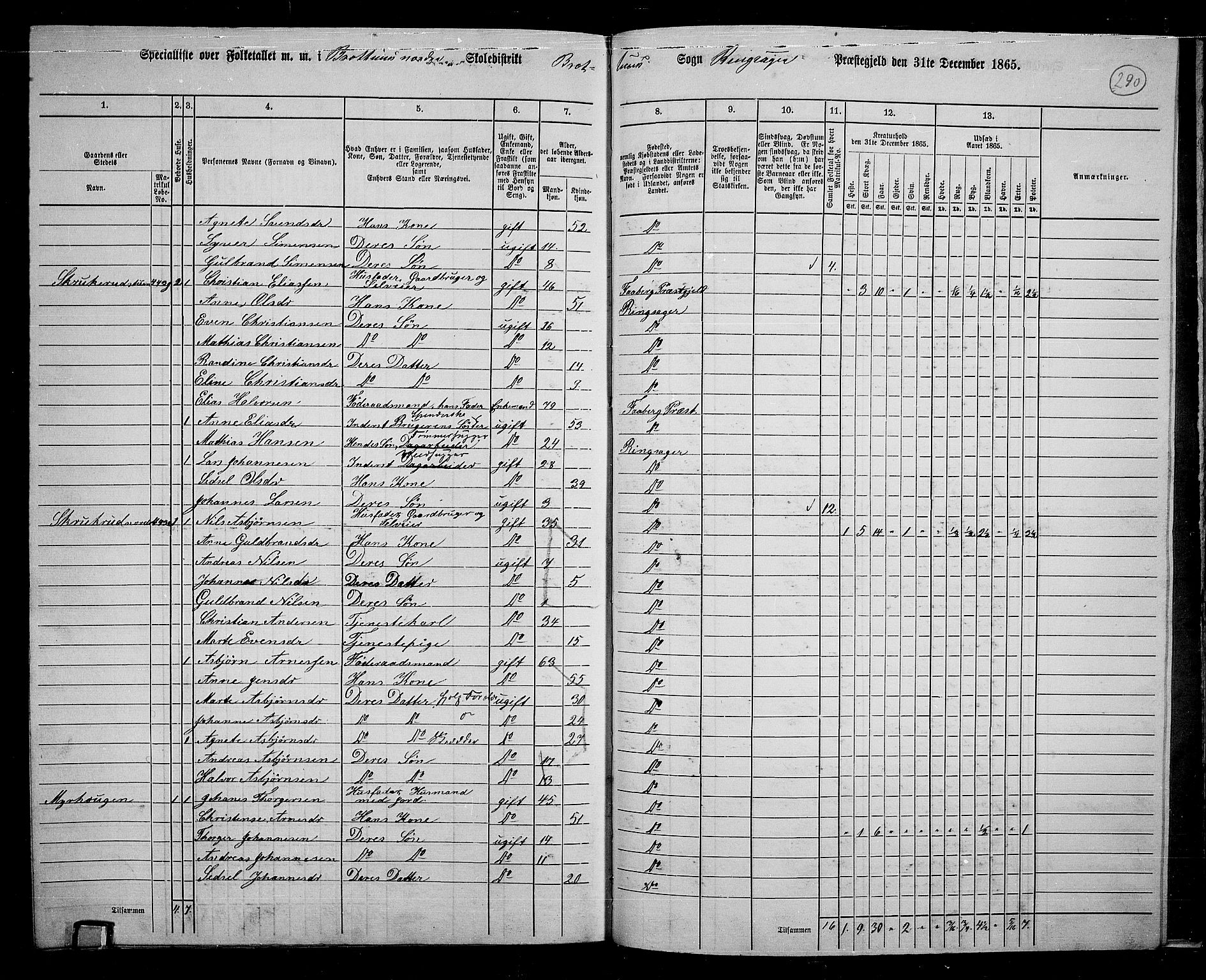 RA, 1865 census for Ringsaker, 1865, p. 474