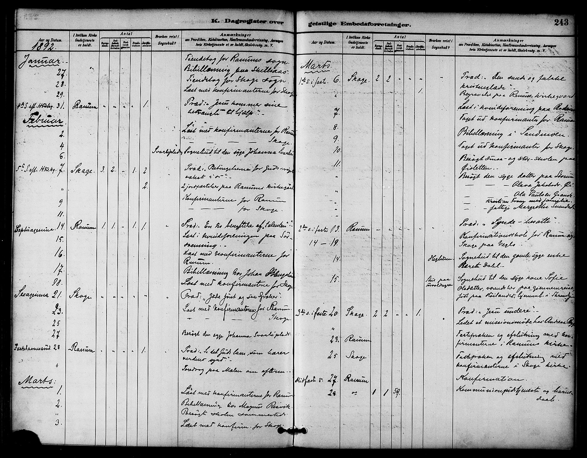 Ministerialprotokoller, klokkerbøker og fødselsregistre - Nord-Trøndelag, SAT/A-1458/764/L0555: Parish register (official) no. 764A10, 1881-1896, p. 243