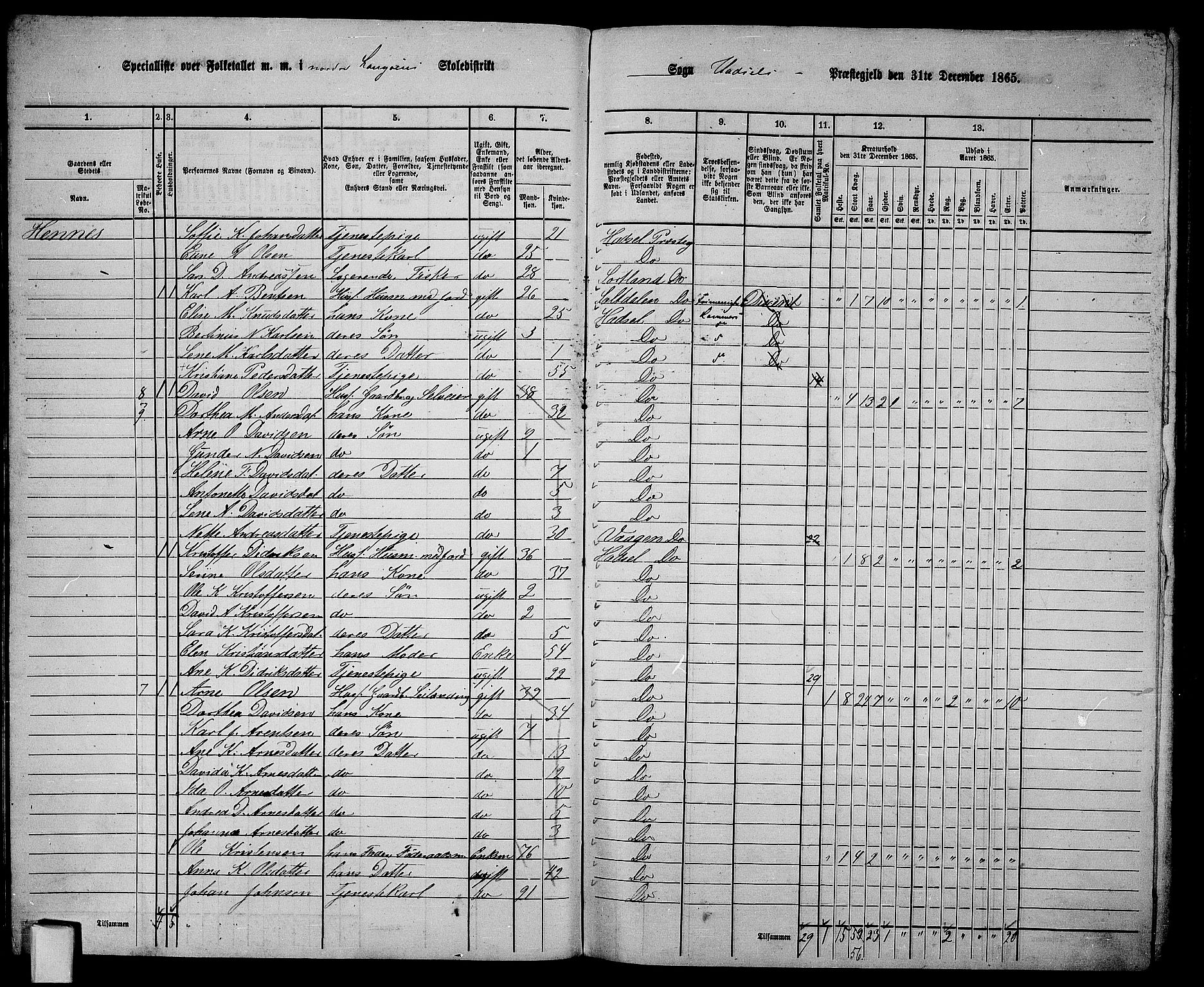 RA, 1865 census for Hadsel, 1865, p. 33