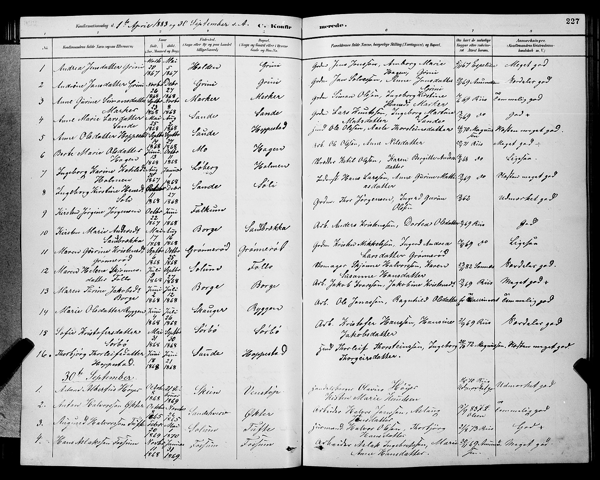 Gjerpen kirkebøker, SAKO/A-265/G/Ga/L0002: Parish register (copy) no. I 2, 1883-1900, p. 227