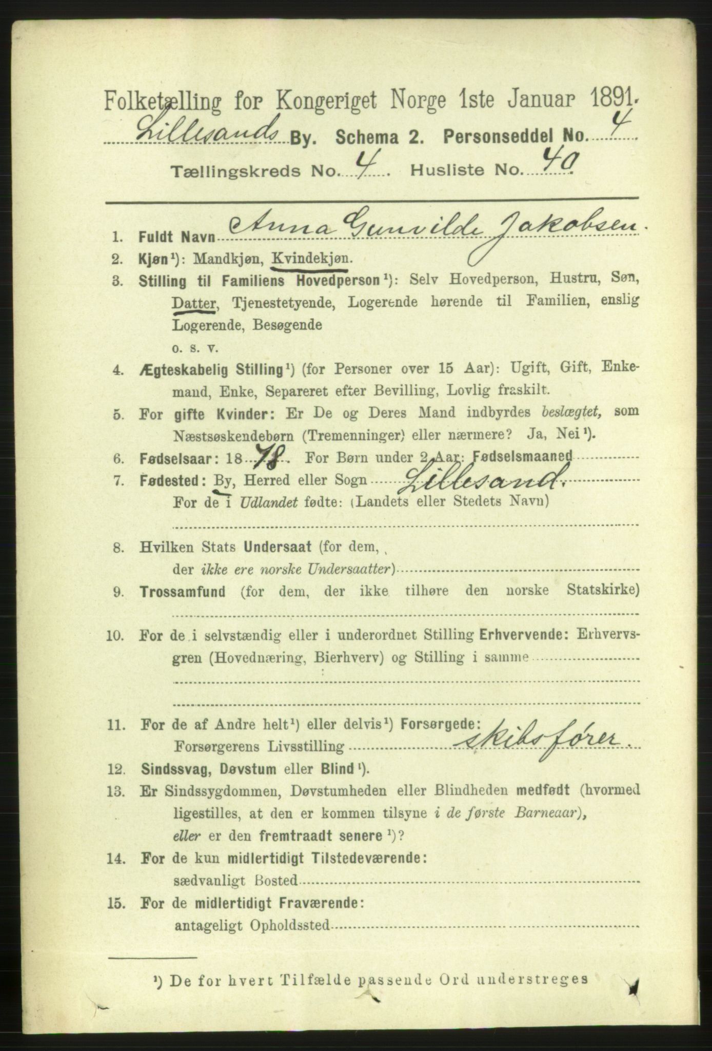 RA, 1891 census for 0905 Lillesand, 1891, p. 1378