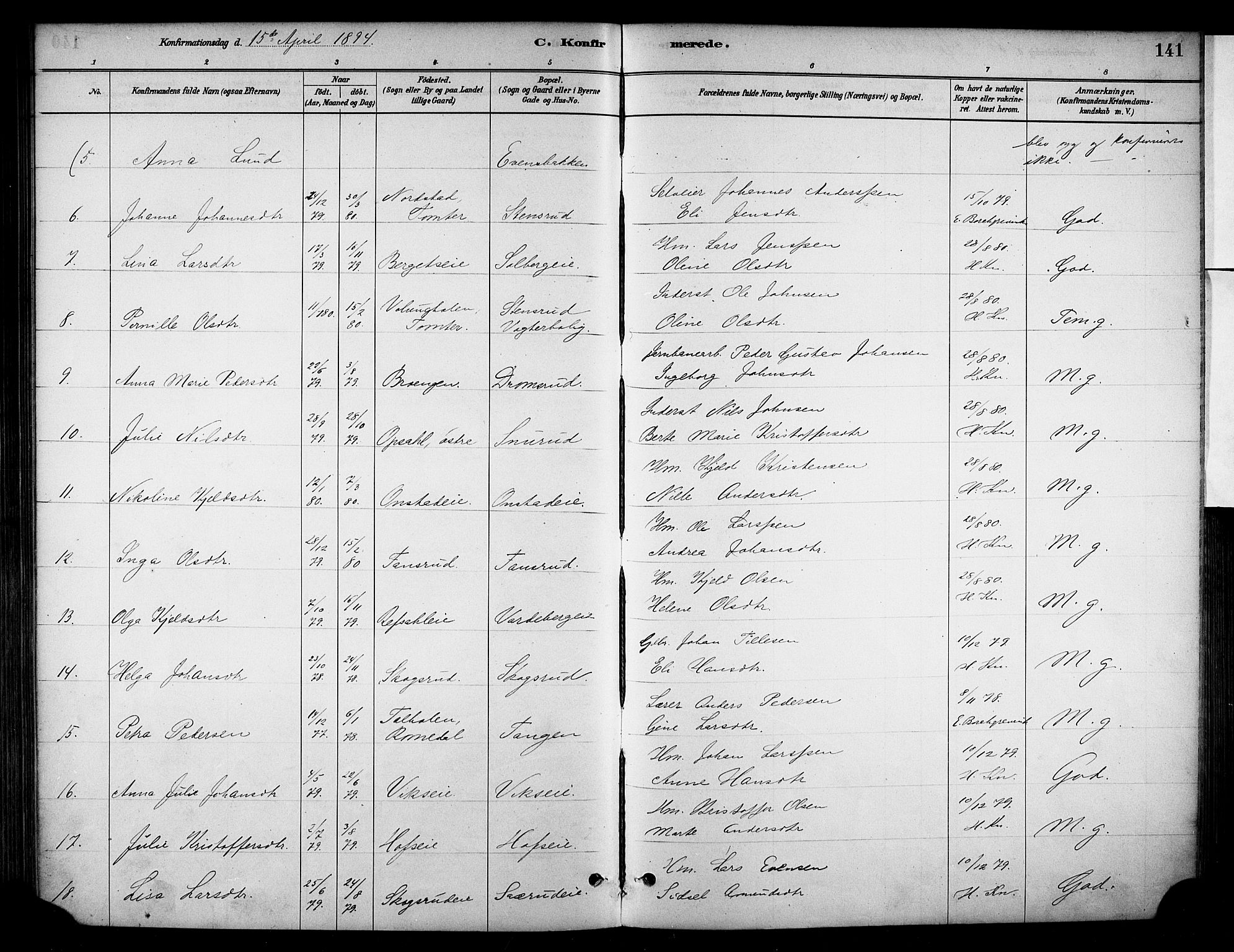 Stange prestekontor, SAH/PREST-002/K/L0018: Parish register (official) no. 18, 1880-1896, p. 141