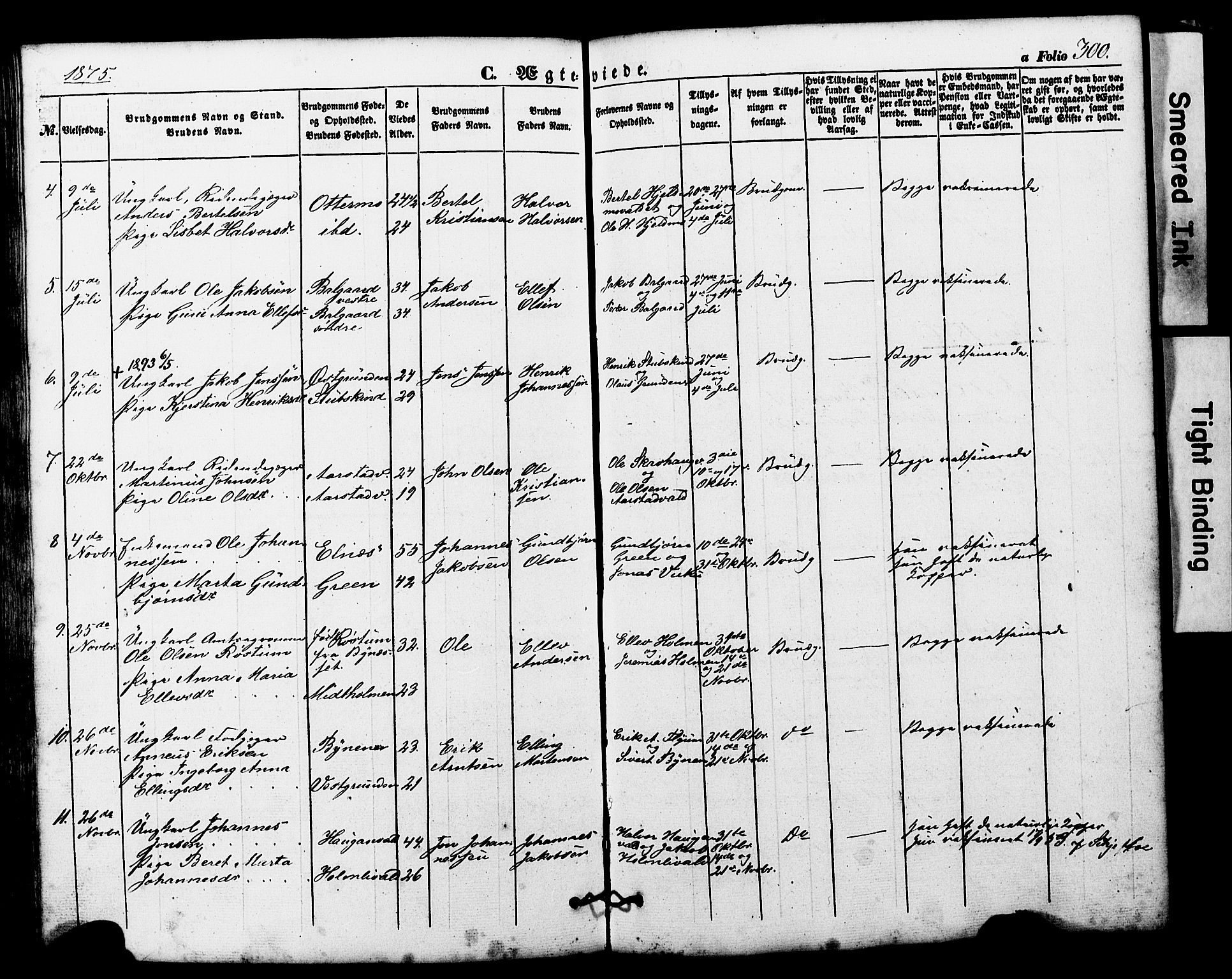 Ministerialprotokoller, klokkerbøker og fødselsregistre - Nord-Trøndelag, AV/SAT-A-1458/724/L0268: Parish register (copy) no. 724C04, 1846-1878, p. 300