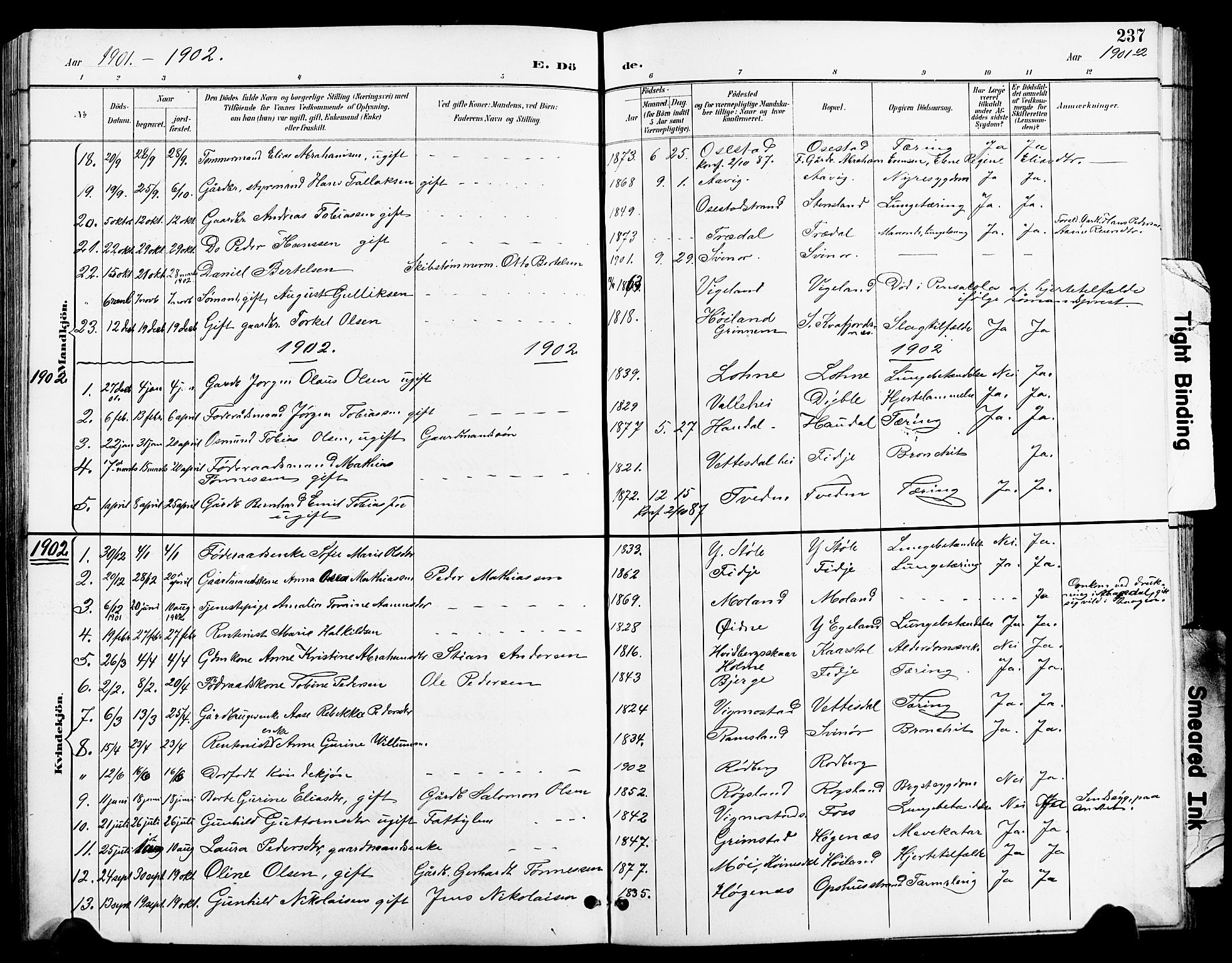 Sør-Audnedal sokneprestkontor, SAK/1111-0039/F/Fb/Fbb/L0006: Parish register (copy) no. B 6, 1893-1915, p. 237