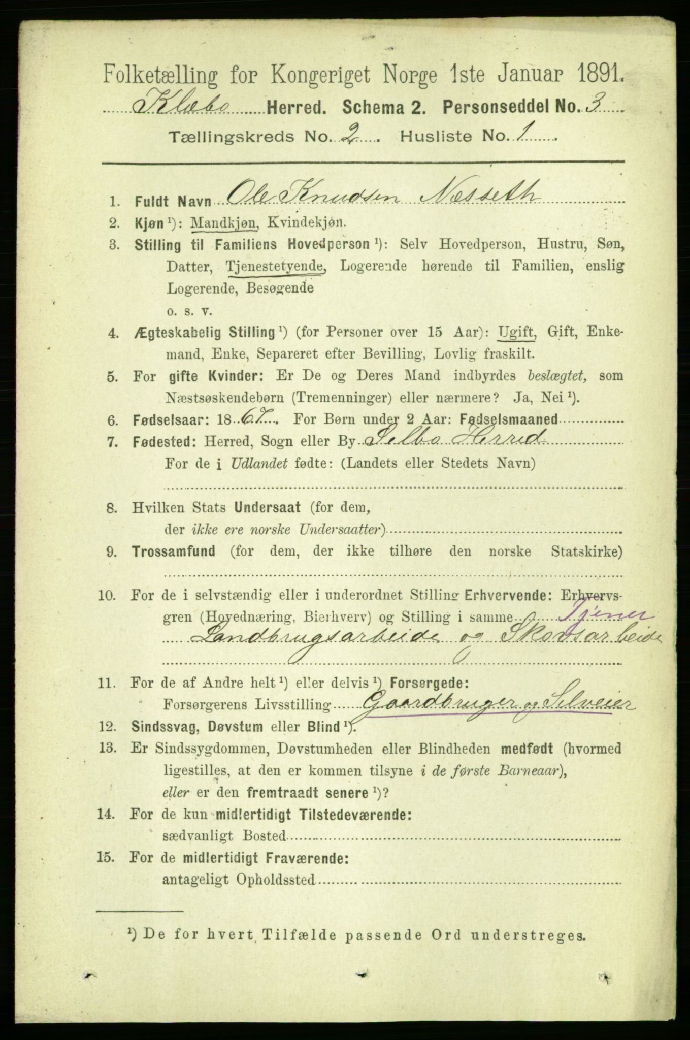 RA, 1891 census for 1662 Klæbu, 1891, p. 219