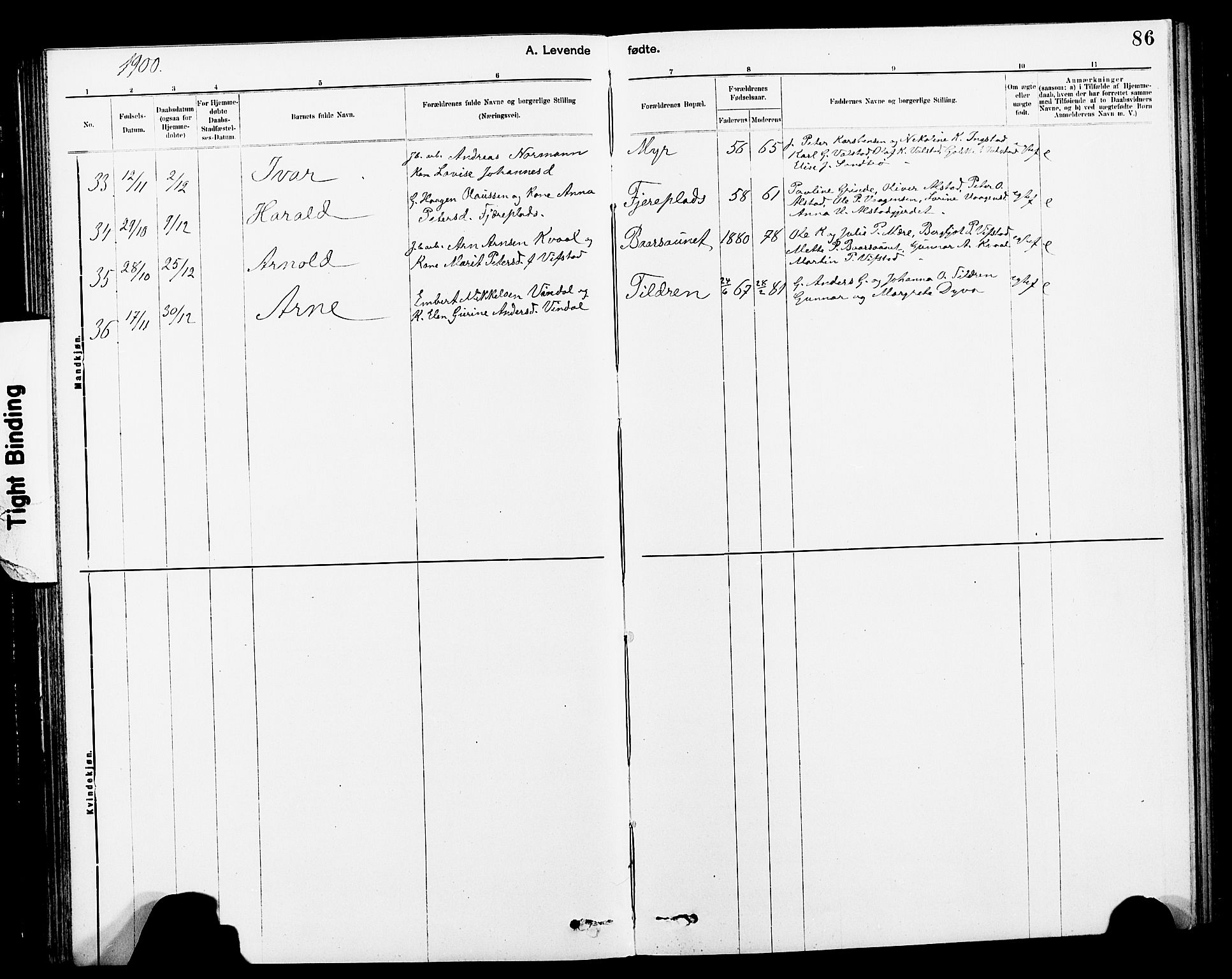 Ministerialprotokoller, klokkerbøker og fødselsregistre - Nord-Trøndelag, AV/SAT-A-1458/712/L0103: Parish register (copy) no. 712C01, 1878-1917, p. 86