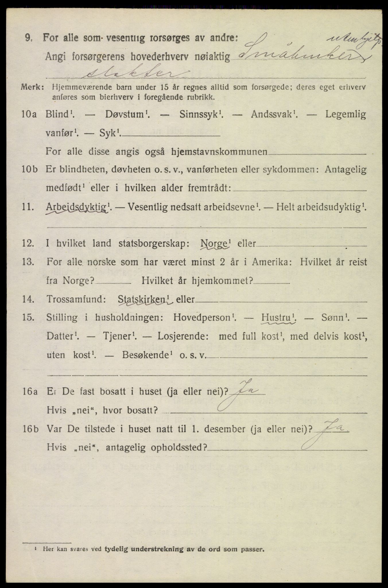 SAH, 1920 census for Sør-Odal, 1920, p. 13918