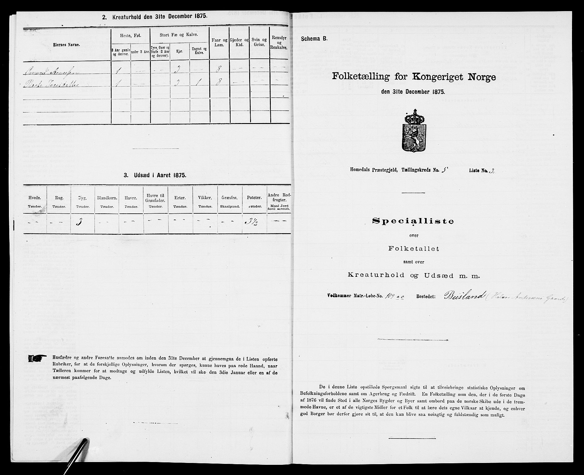 SAK, 1875 census for 0924P Homedal, 1875, p. 933