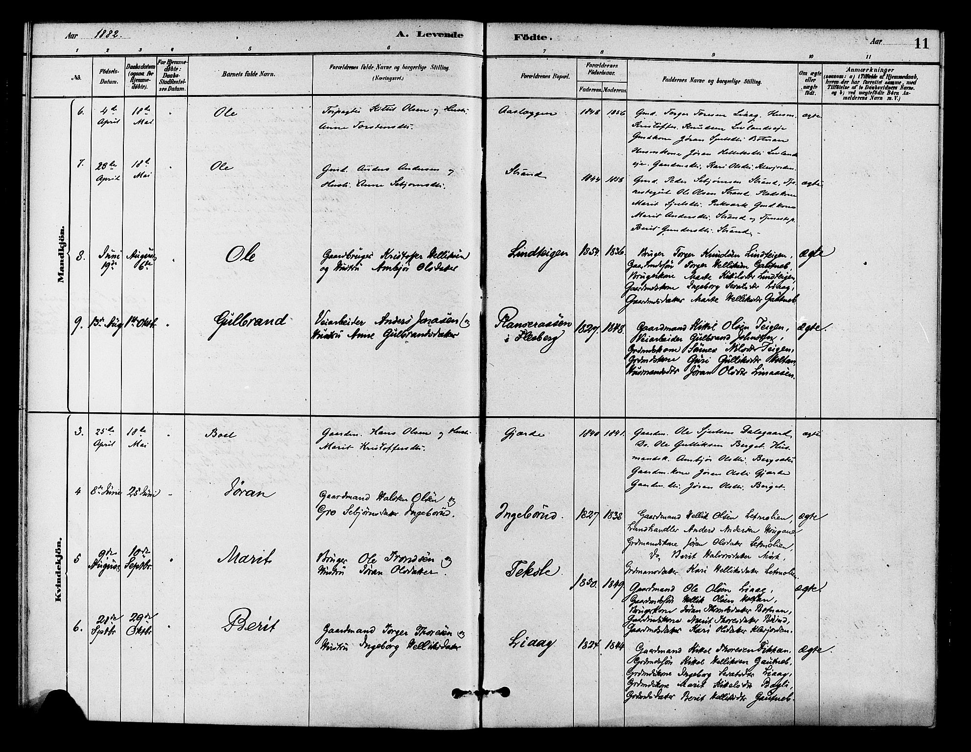 Flesberg kirkebøker, AV/SAKO-A-18/F/Fc/L0001: Parish register (official) no. III 1, 1879-1905, p. 11