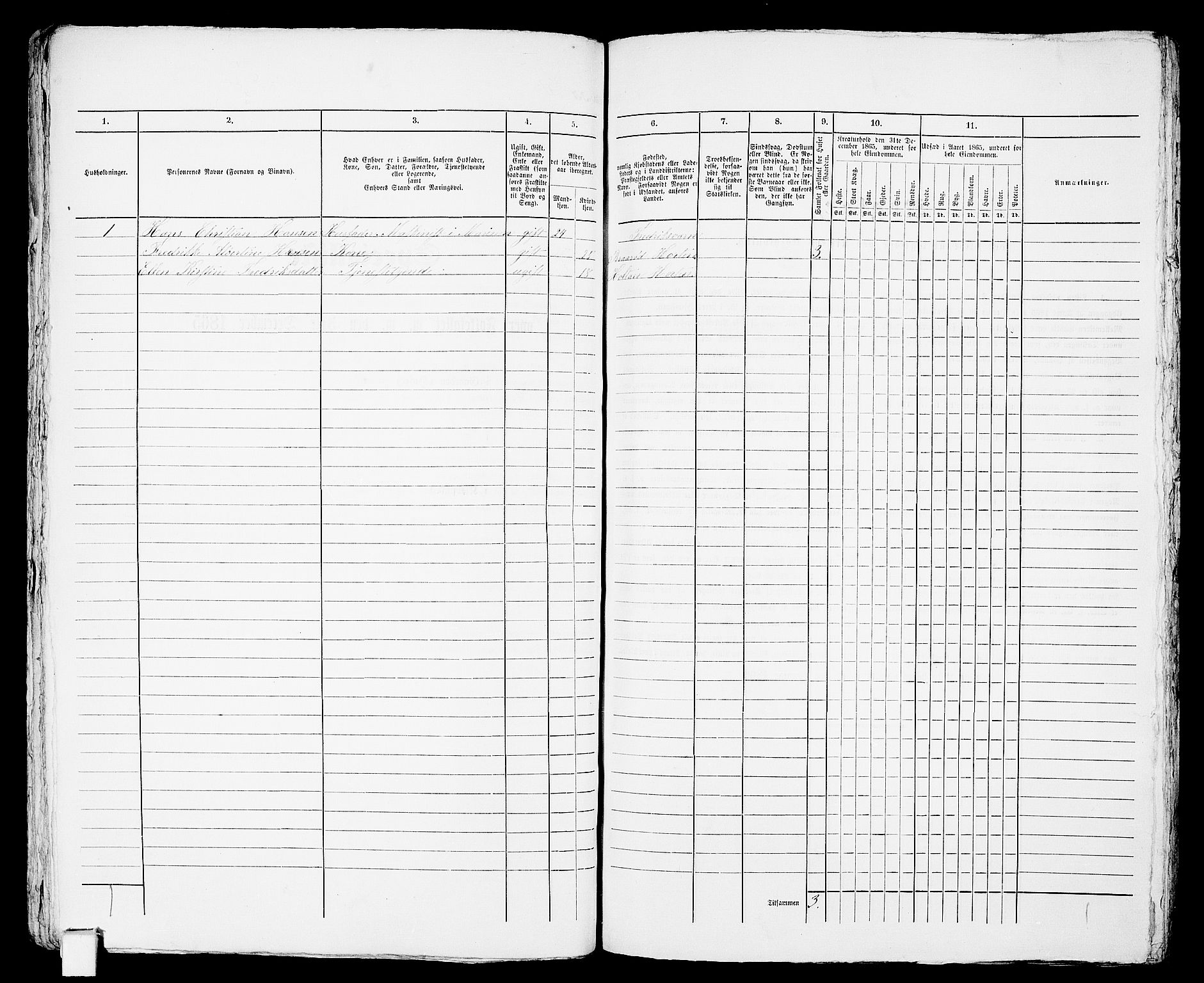 RA, 1865 census for Horten, 1865, p. 191