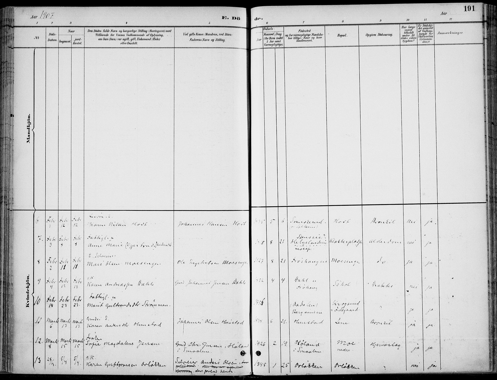 Hole kirkebøker, SAKO/A-228/F/Fa/L0009: Parish register (official) no. I 9, 1892-1907, p. 191