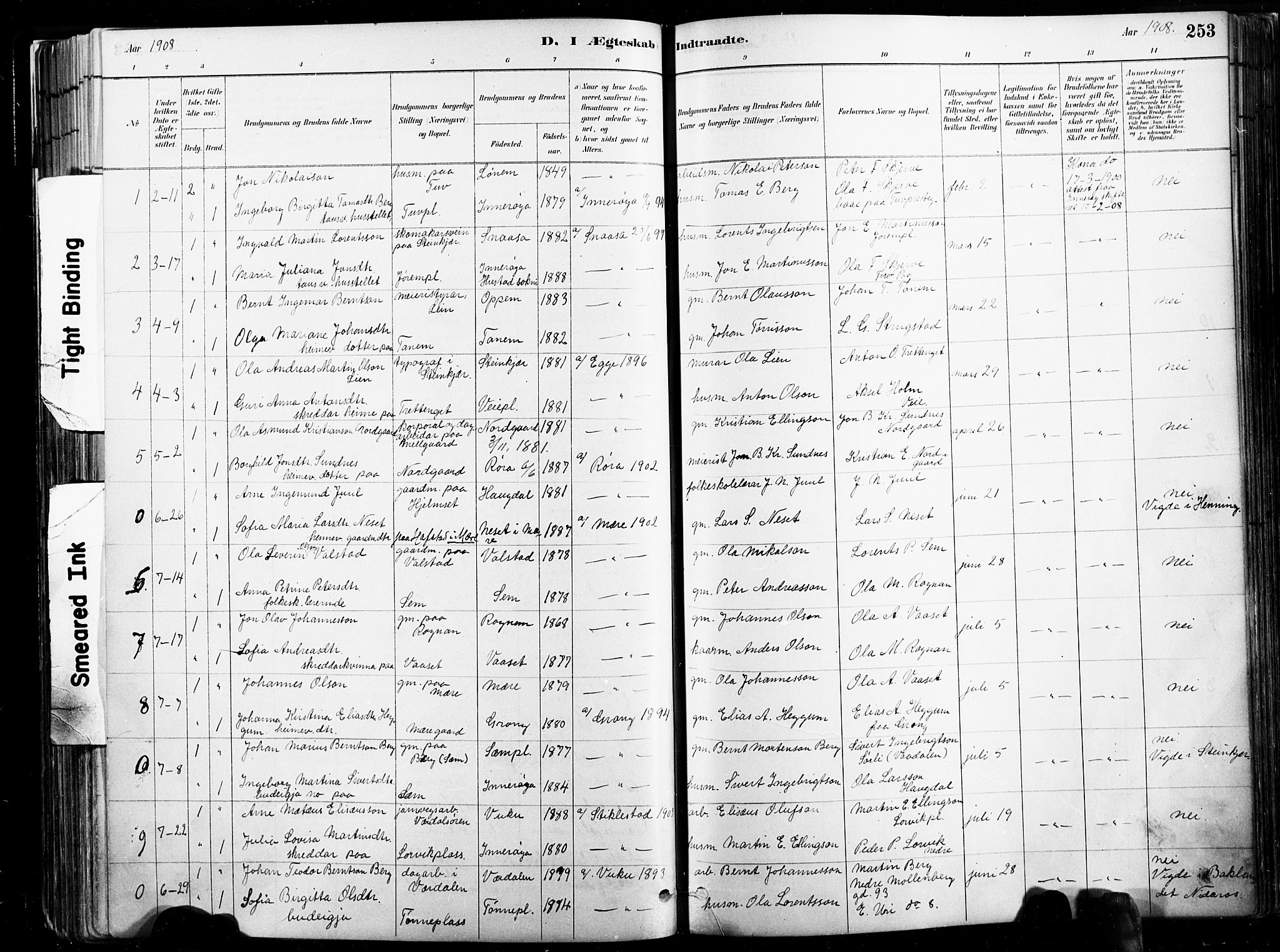 Ministerialprotokoller, klokkerbøker og fødselsregistre - Nord-Trøndelag, SAT/A-1458/735/L0351: Parish register (official) no. 735A10, 1884-1908, p. 253