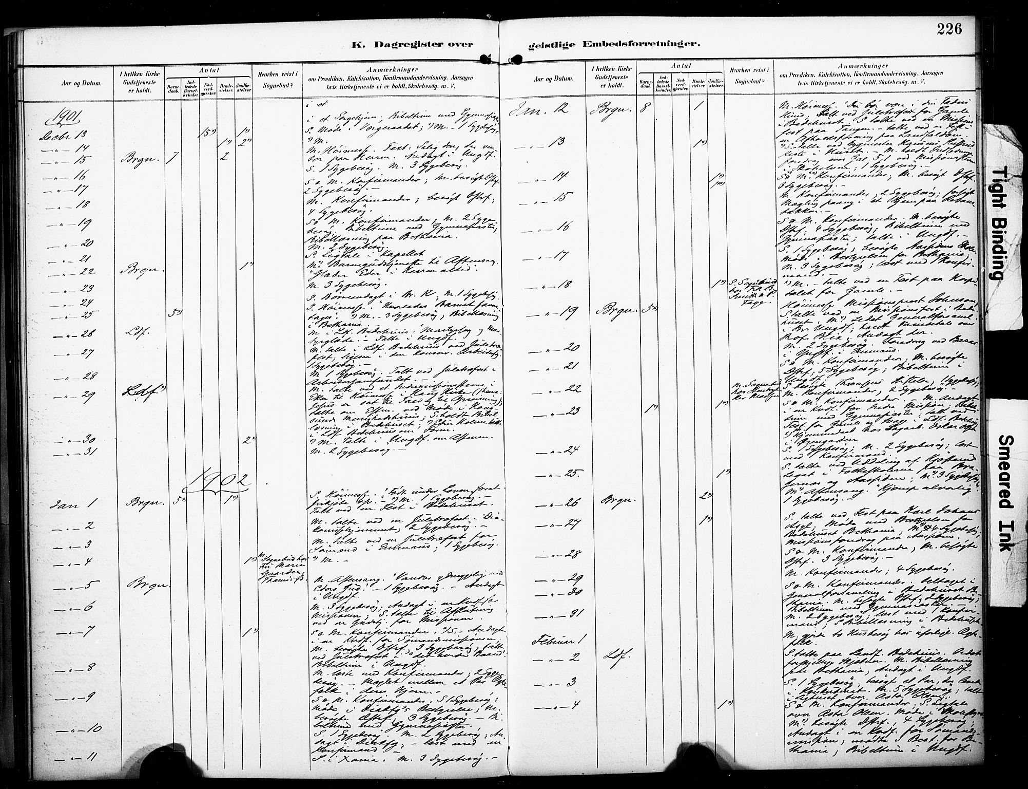 Bragernes kirkebøker, AV/SAKO-A-6/F/Fc/L0006: Parish register (official) no. III 6, 1888-1899, p. 226