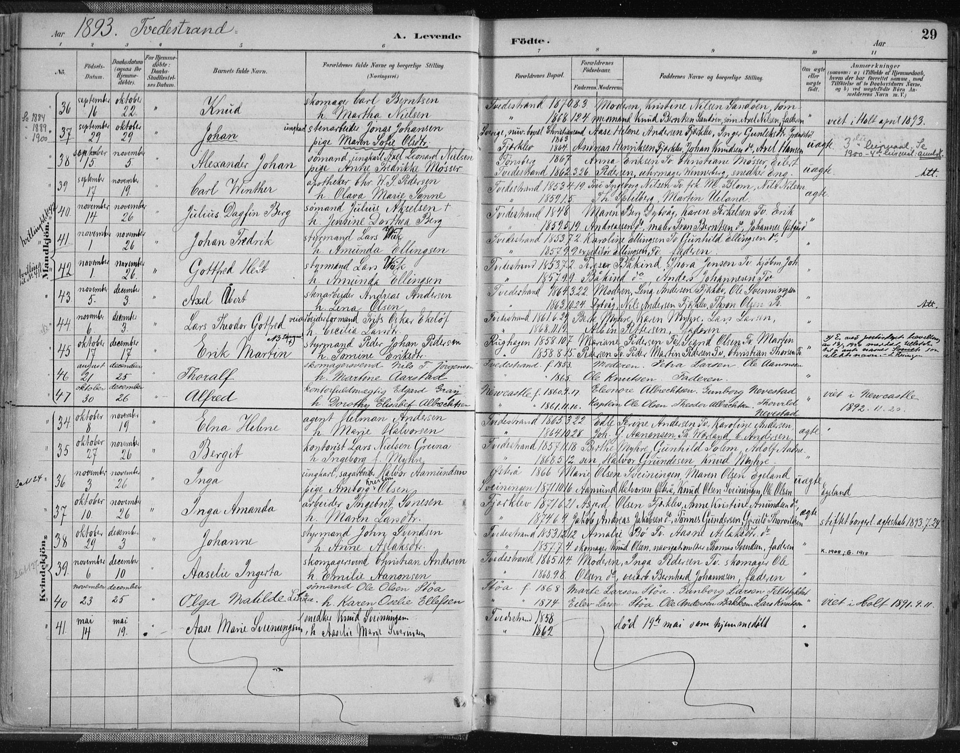 Tvedestrand sokneprestkontor, AV/SAK-1111-0042/F/Fa/L0001: Parish register (official) no. A 1, 1885-1916, p. 29