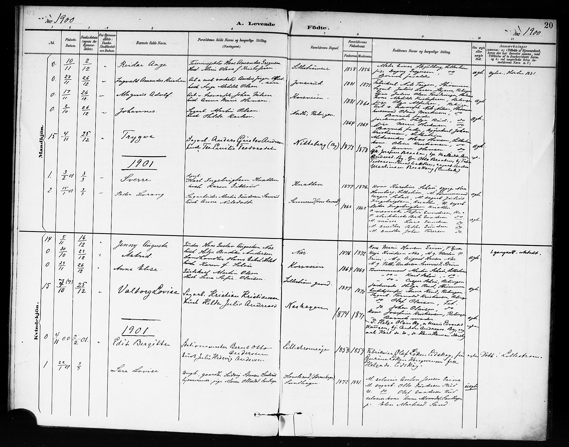 Fet prestekontor Kirkebøker, AV/SAO-A-10370a/F/Fb/L0002: Parish register (official) no. II 2, 1892-1904, p. 20