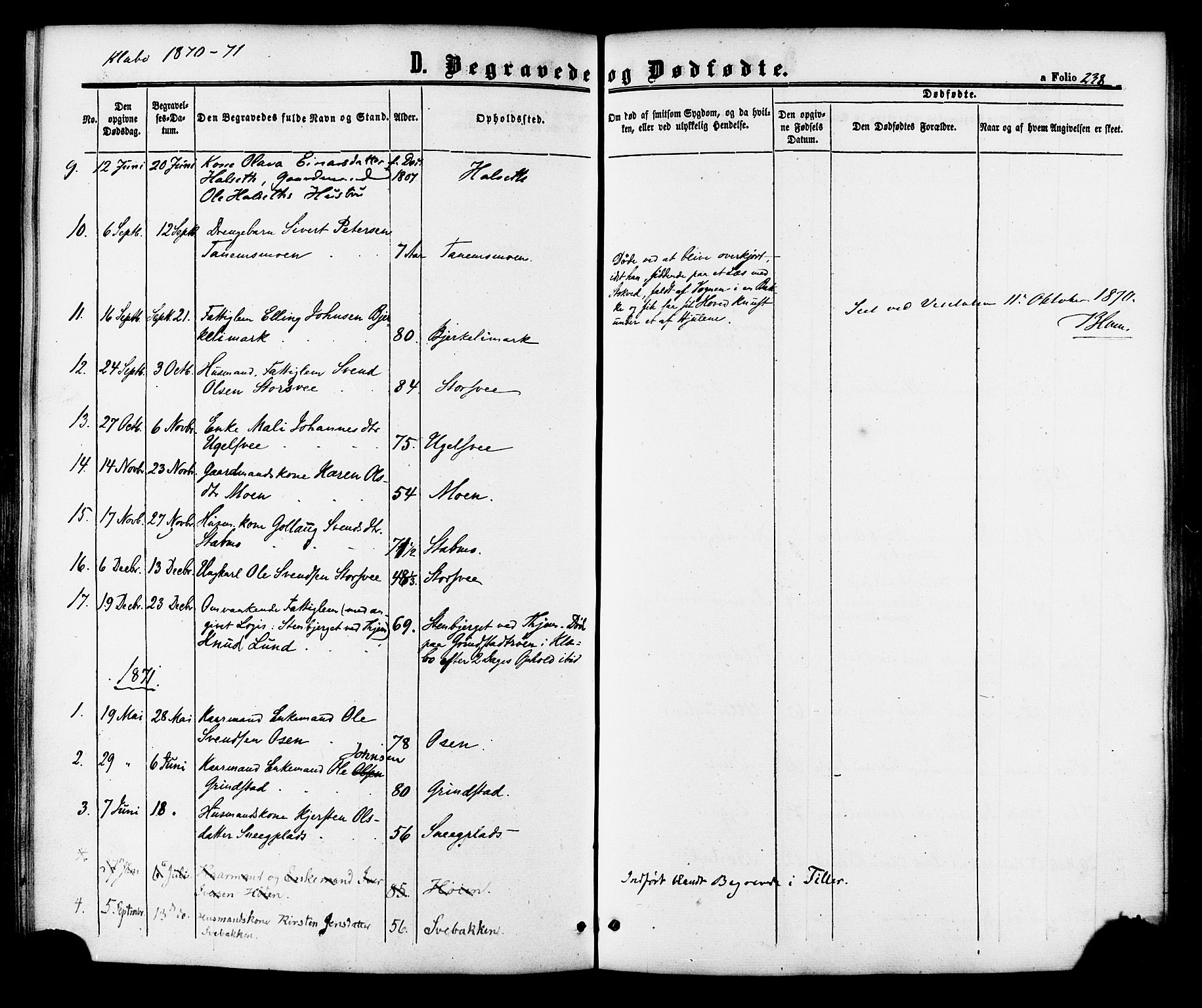 Ministerialprotokoller, klokkerbøker og fødselsregistre - Sør-Trøndelag, SAT/A-1456/618/L0442: Parish register (official) no. 618A06 /1, 1863-1879, p. 238