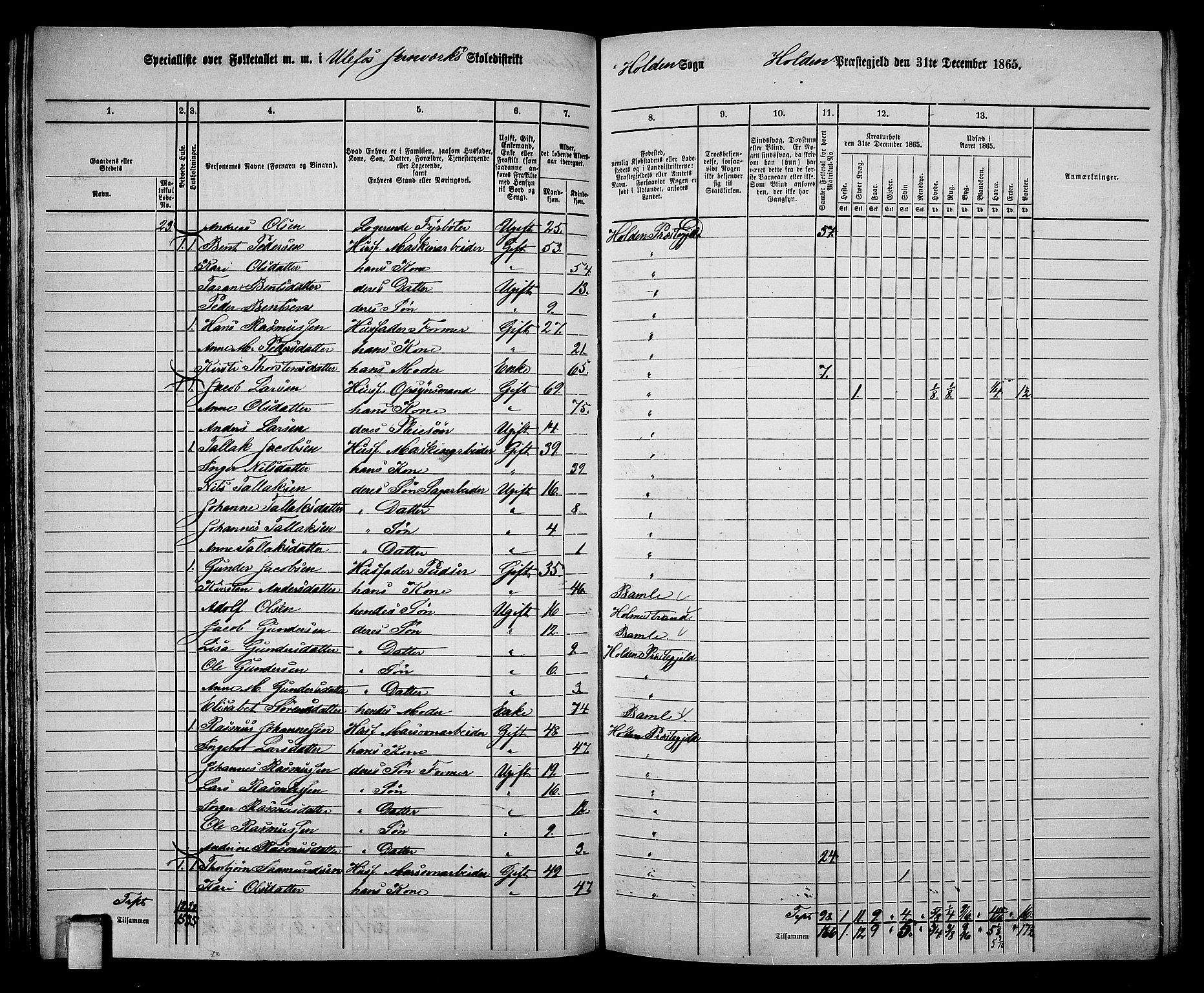RA, 1865 census for Holla, 1865, p. 52