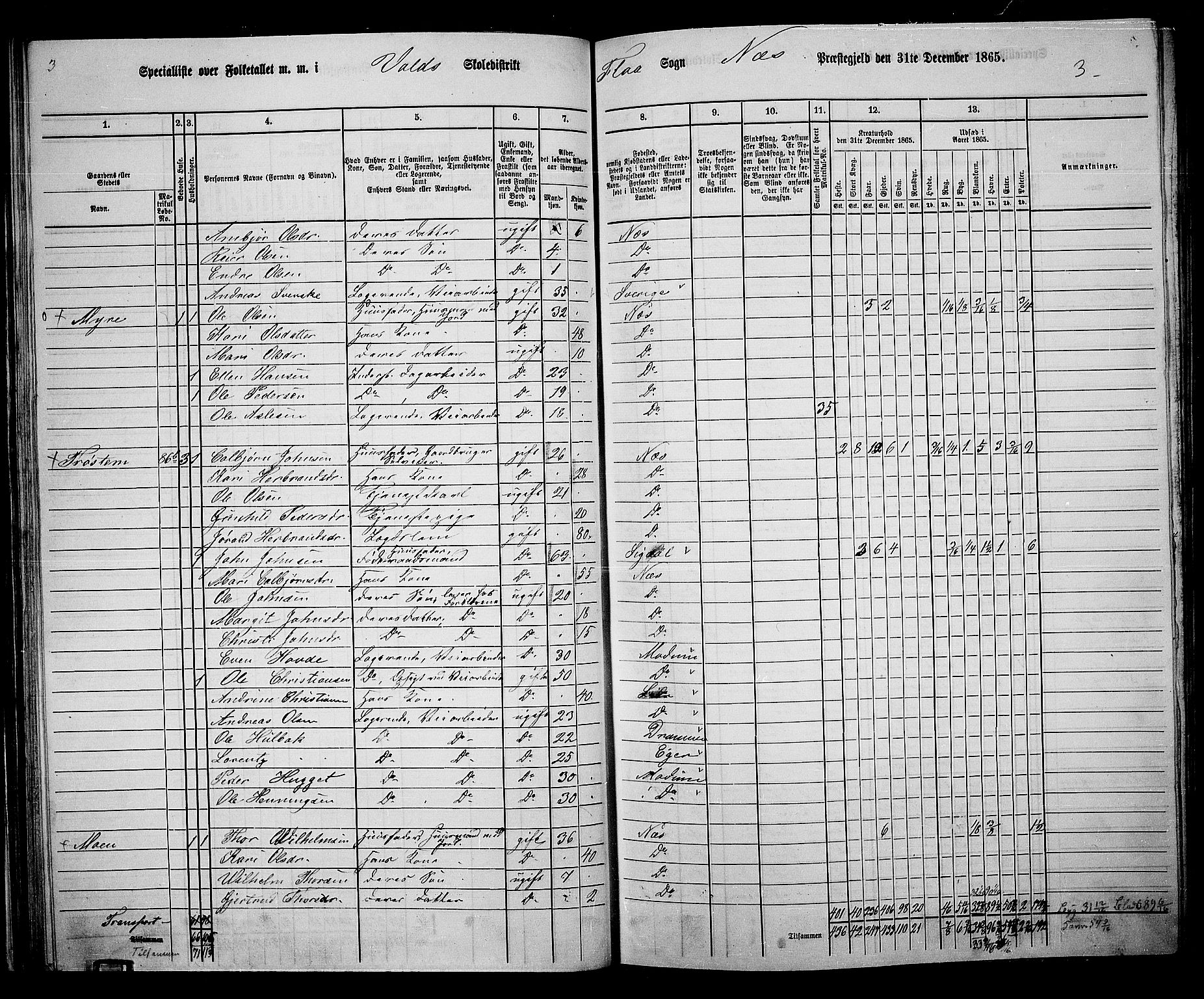 RA, 1865 census for Nes, 1865, p. 59