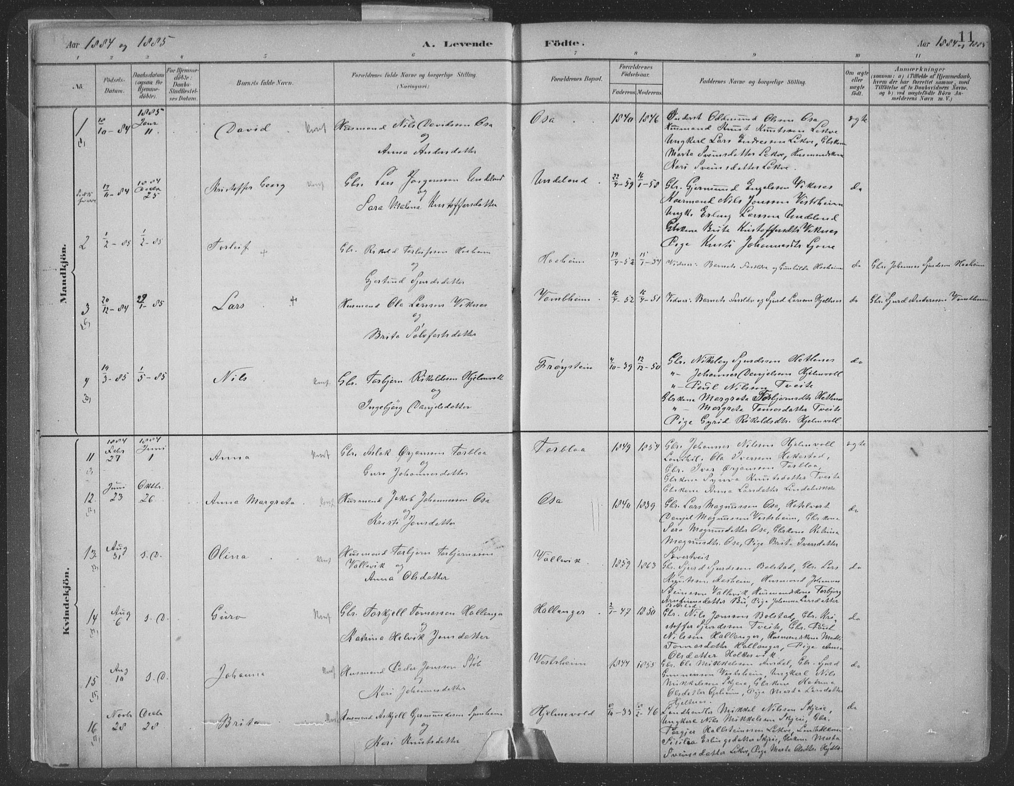 Ulvik sokneprestembete, SAB/A-78801/H/Hab: Parish register (copy) no. A 3, 1883-1908, p. 11
