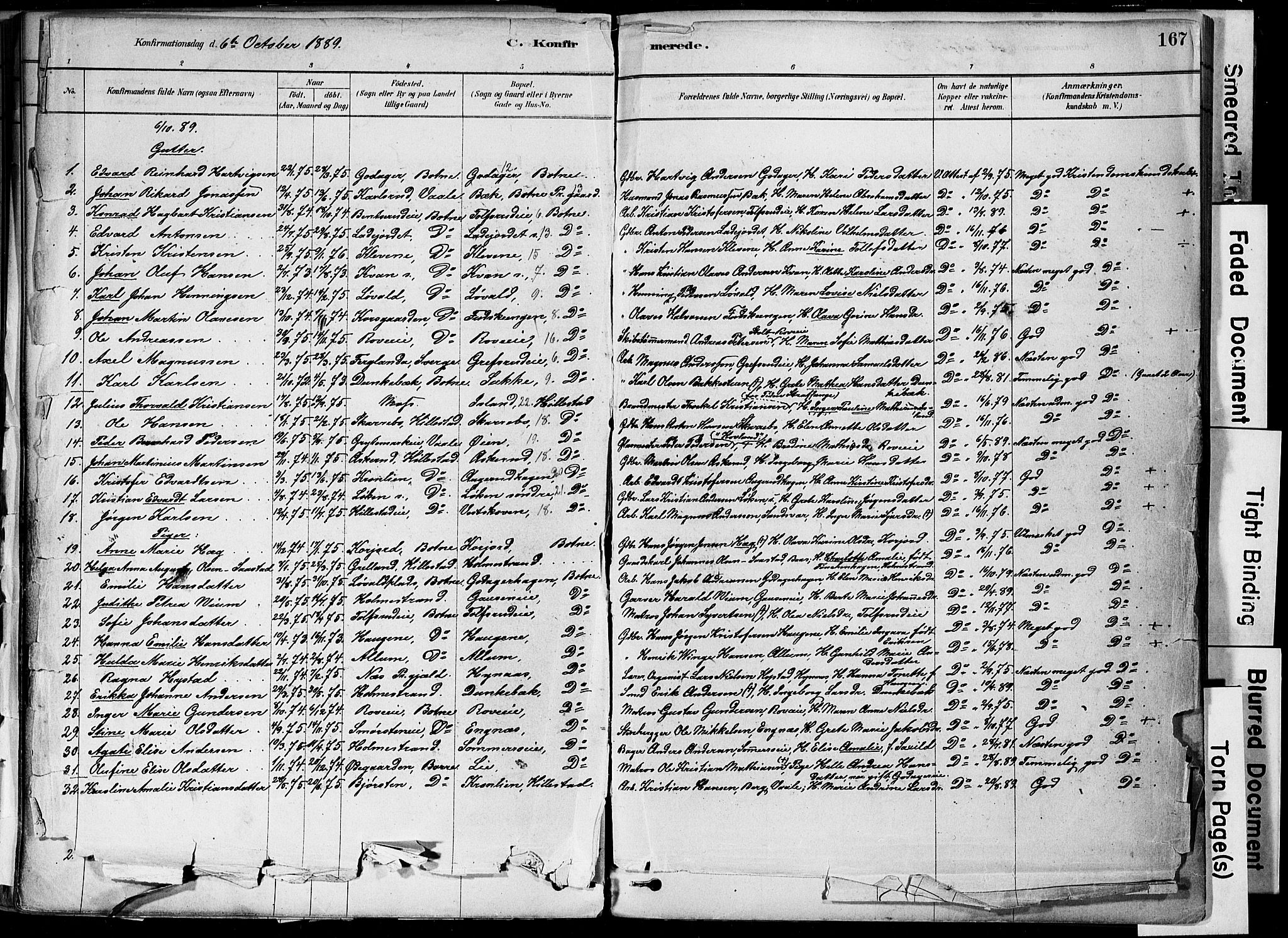 Botne kirkebøker, AV/SAKO-A-340/F/Fa/L0007: Parish register (official) no. I 7, 1878-1910, p. 167