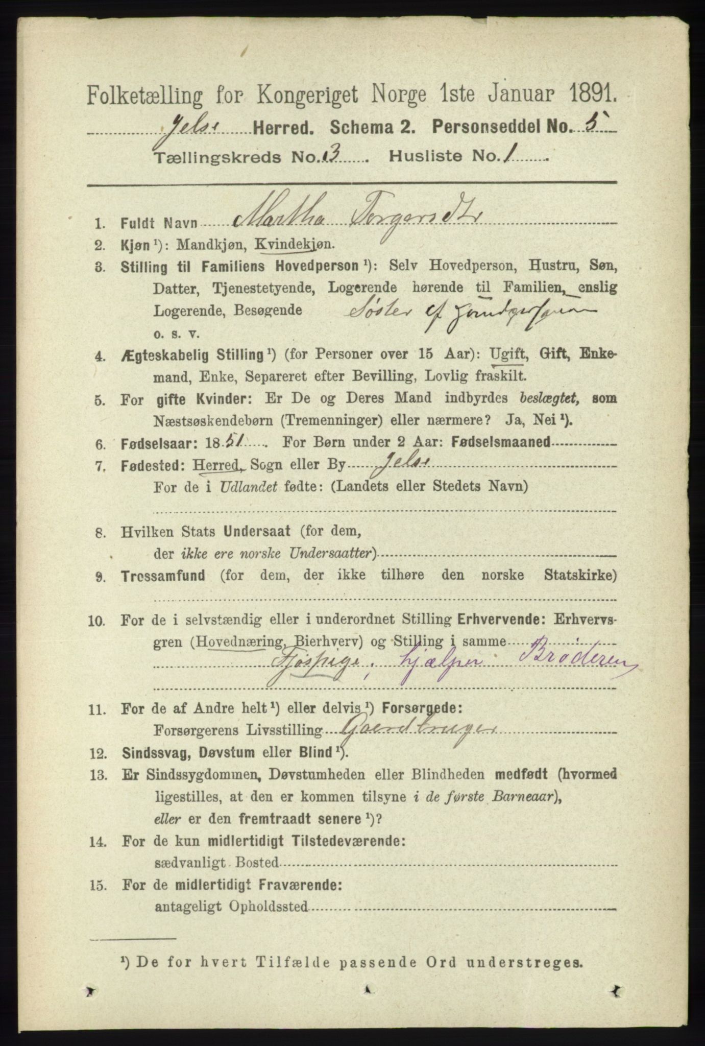 RA, 1891 census for 1138 Jelsa, 1891, p. 381