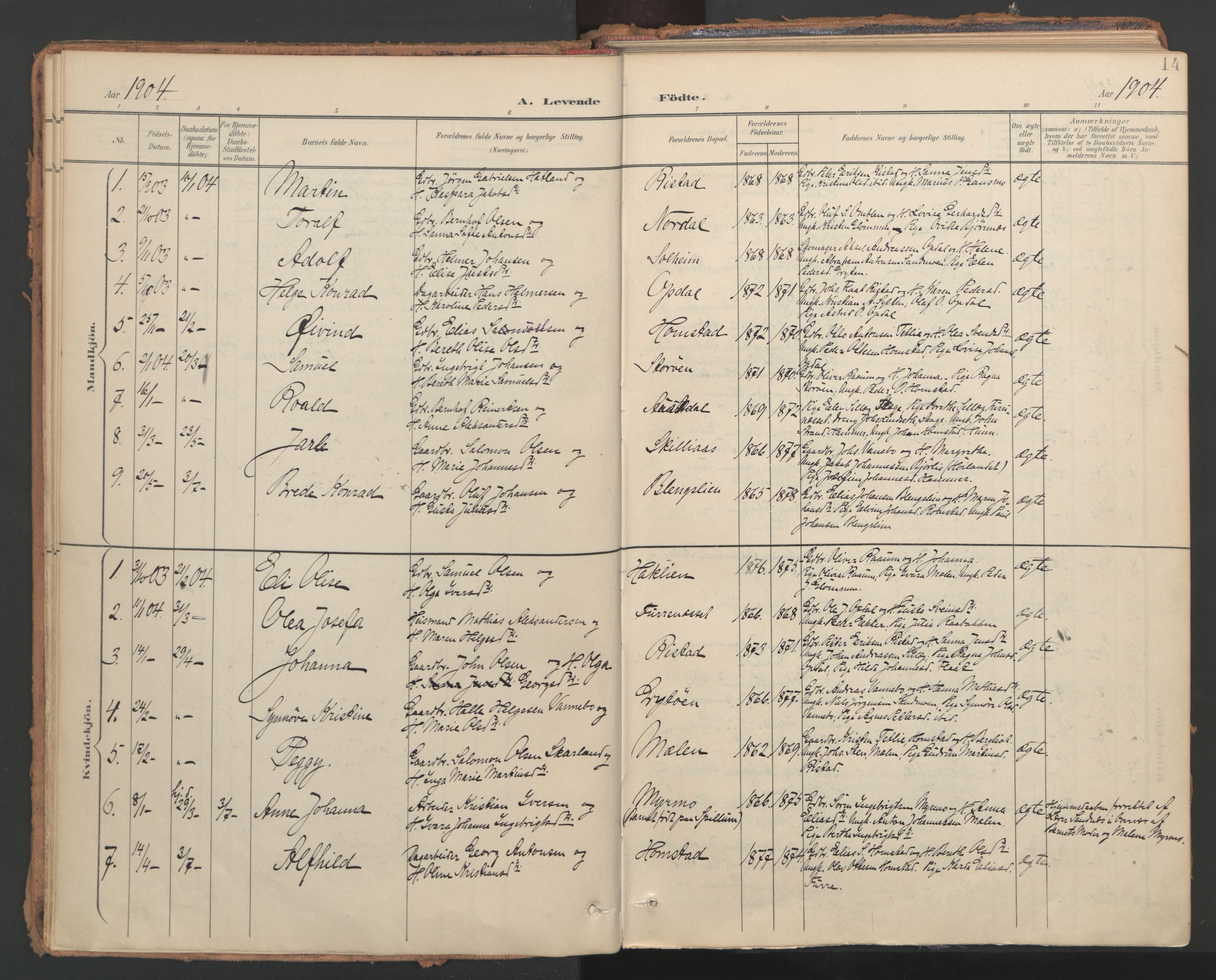 Ministerialprotokoller, klokkerbøker og fødselsregistre - Nord-Trøndelag, AV/SAT-A-1458/766/L0564: Parish register (official) no. 767A02, 1900-1932, p. 14